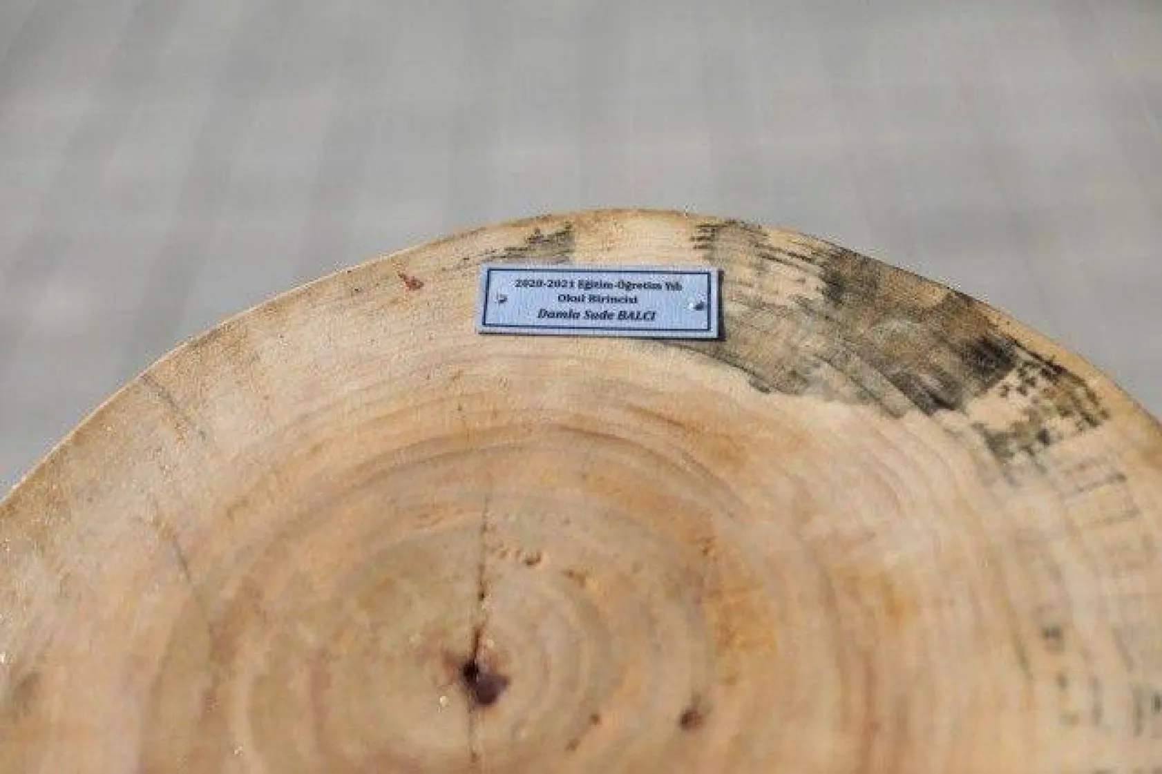 TÜRAM Lisesi'nde Mezuniyet Coşkusu