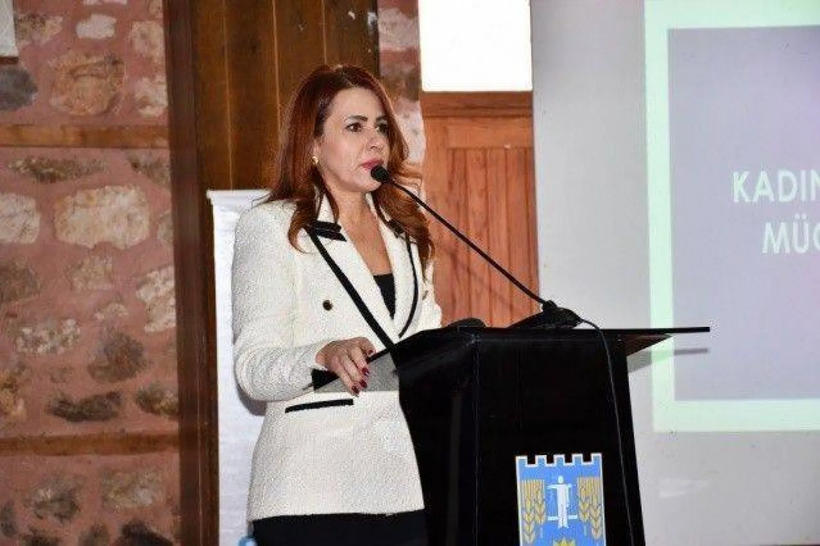 'Kadına Şiddete Hayır' Paneli Düzenlendi