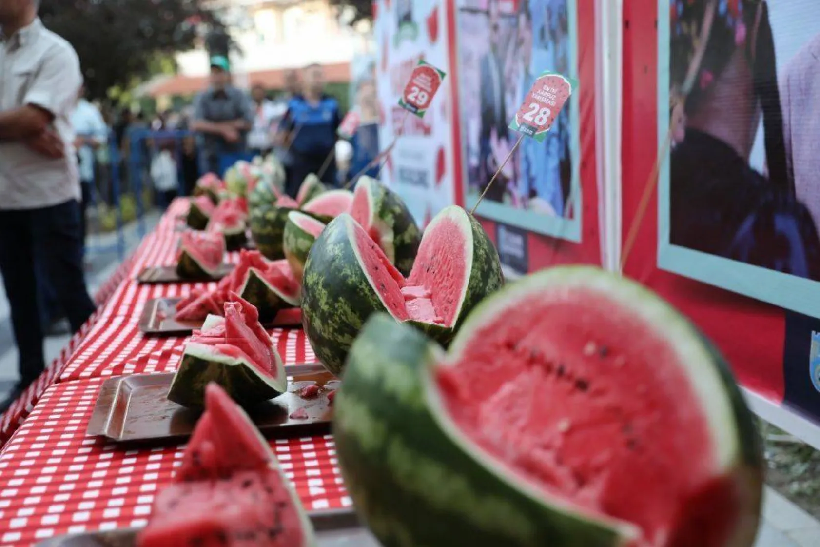 Silivri'nin en güzel karpuzu belli oldu