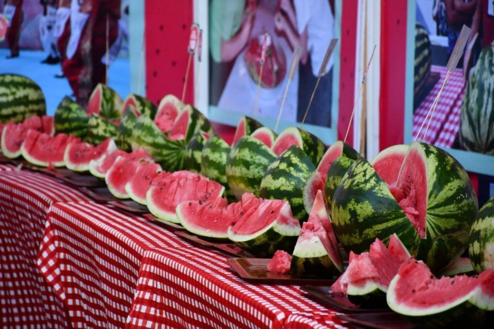 Silivri'nin en güzel karpuzu belli oldu