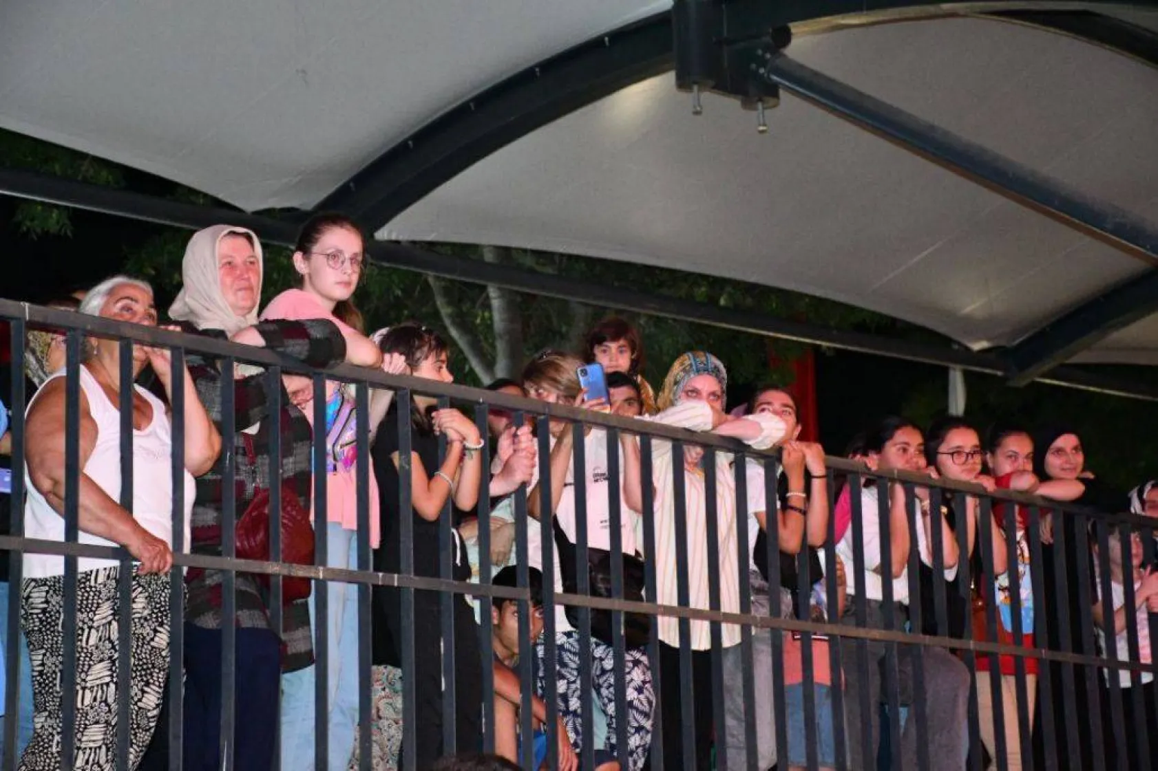 En güzel domatesler yarıştı