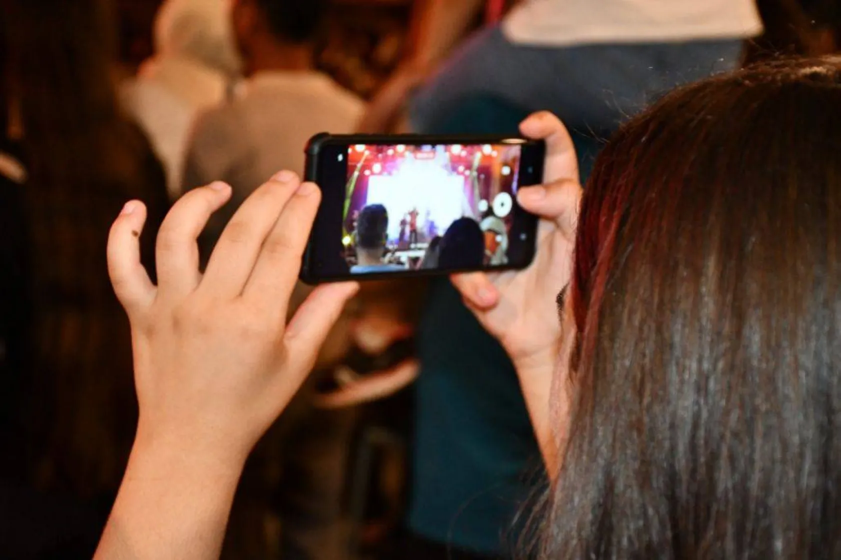 En güzel domatesler yarıştı