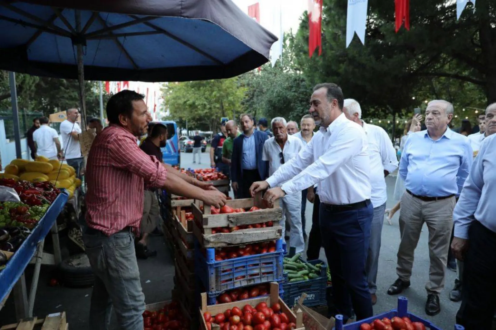 En güzel domatesler yarıştı