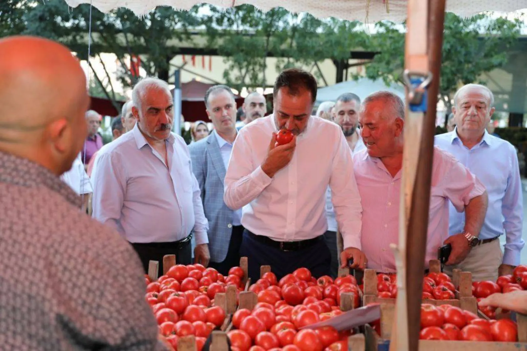 En güzel domatesler yarıştı
