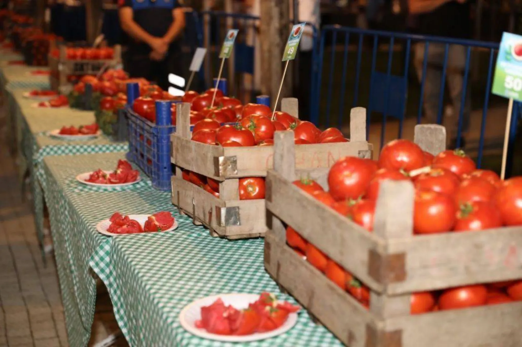 En güzel domatesler yarıştı