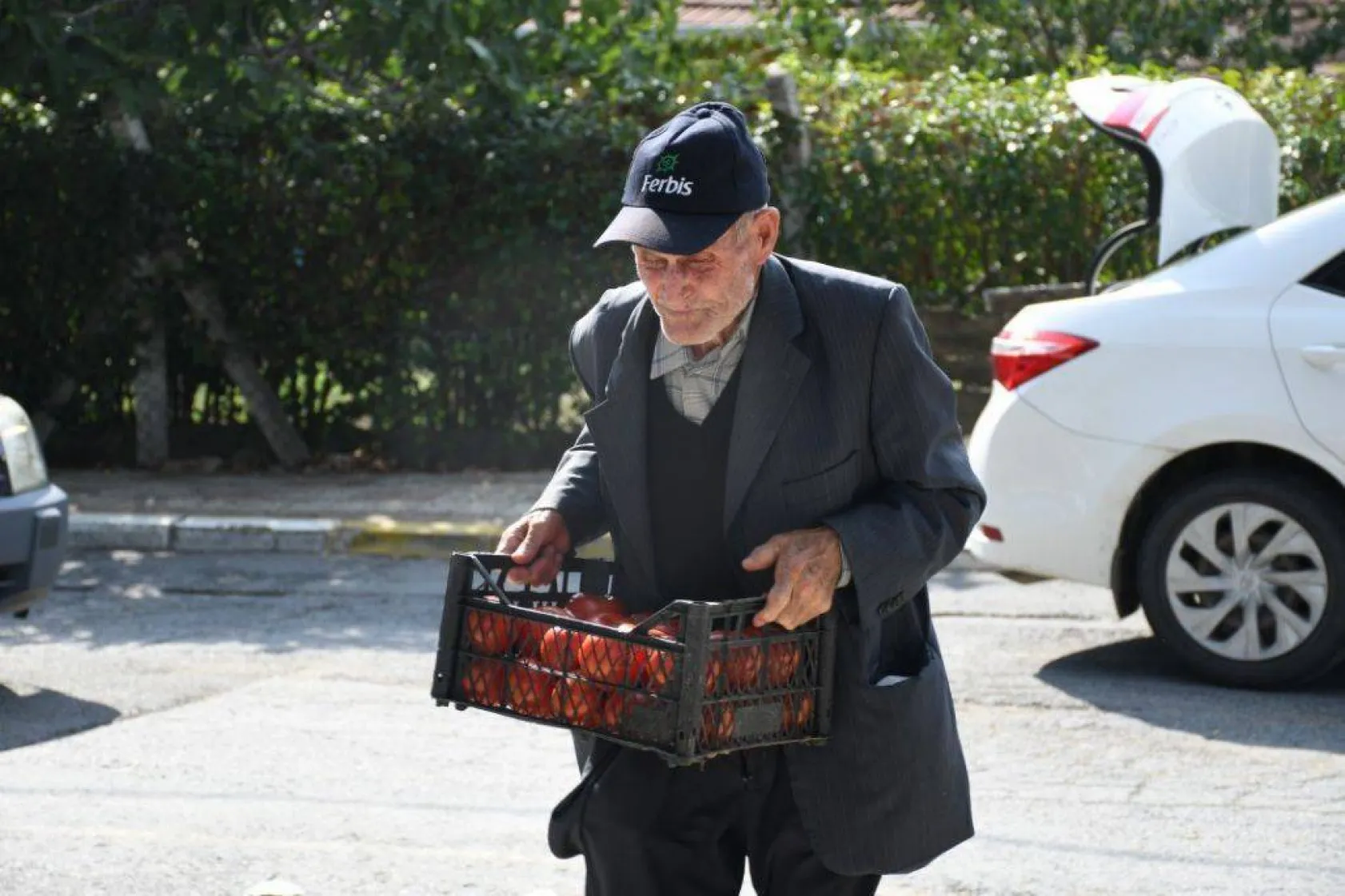 En güzel domatesler yarıştı