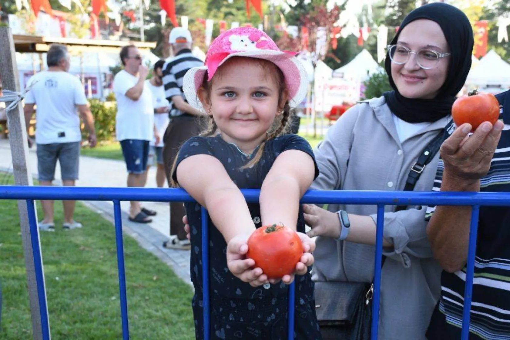 En güzel domatesler yarıştı