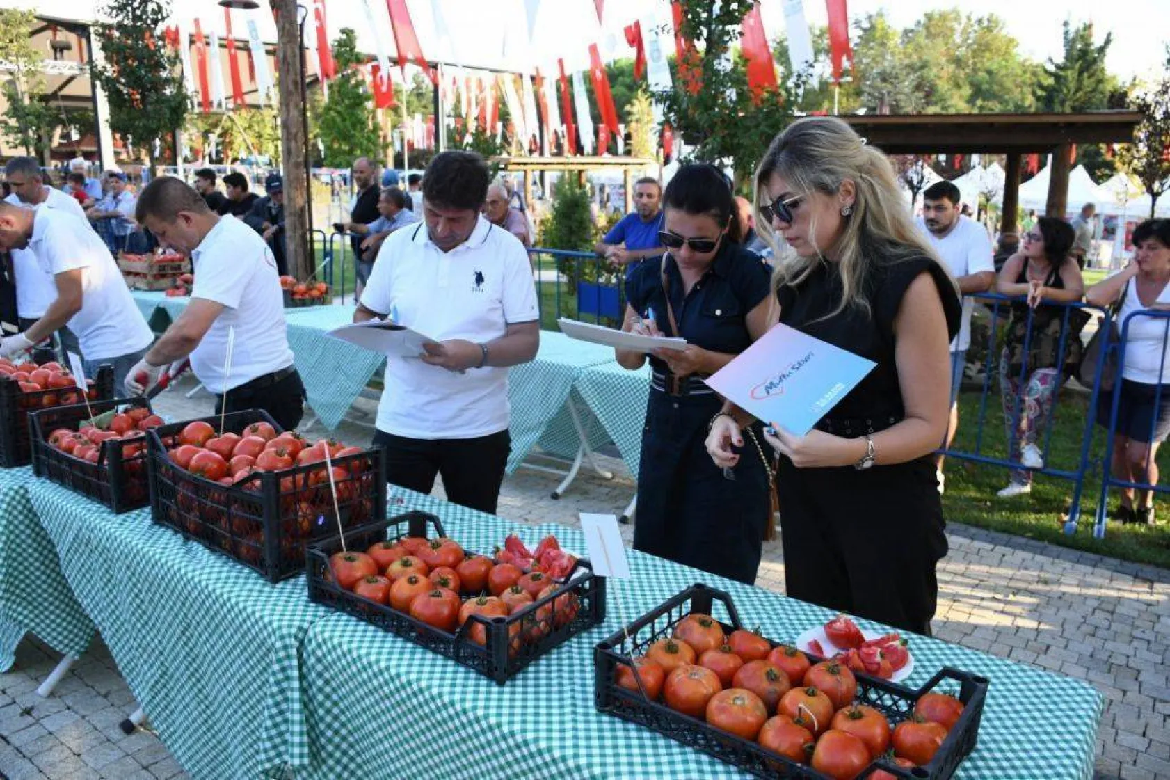 En güzel domatesler yarıştı