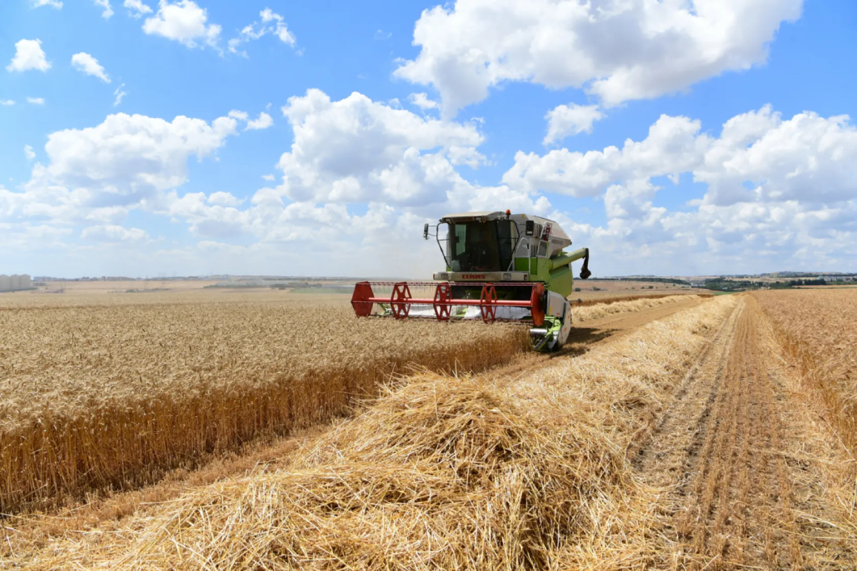 Deneme tohumlarının ilk hasadı yapıldı