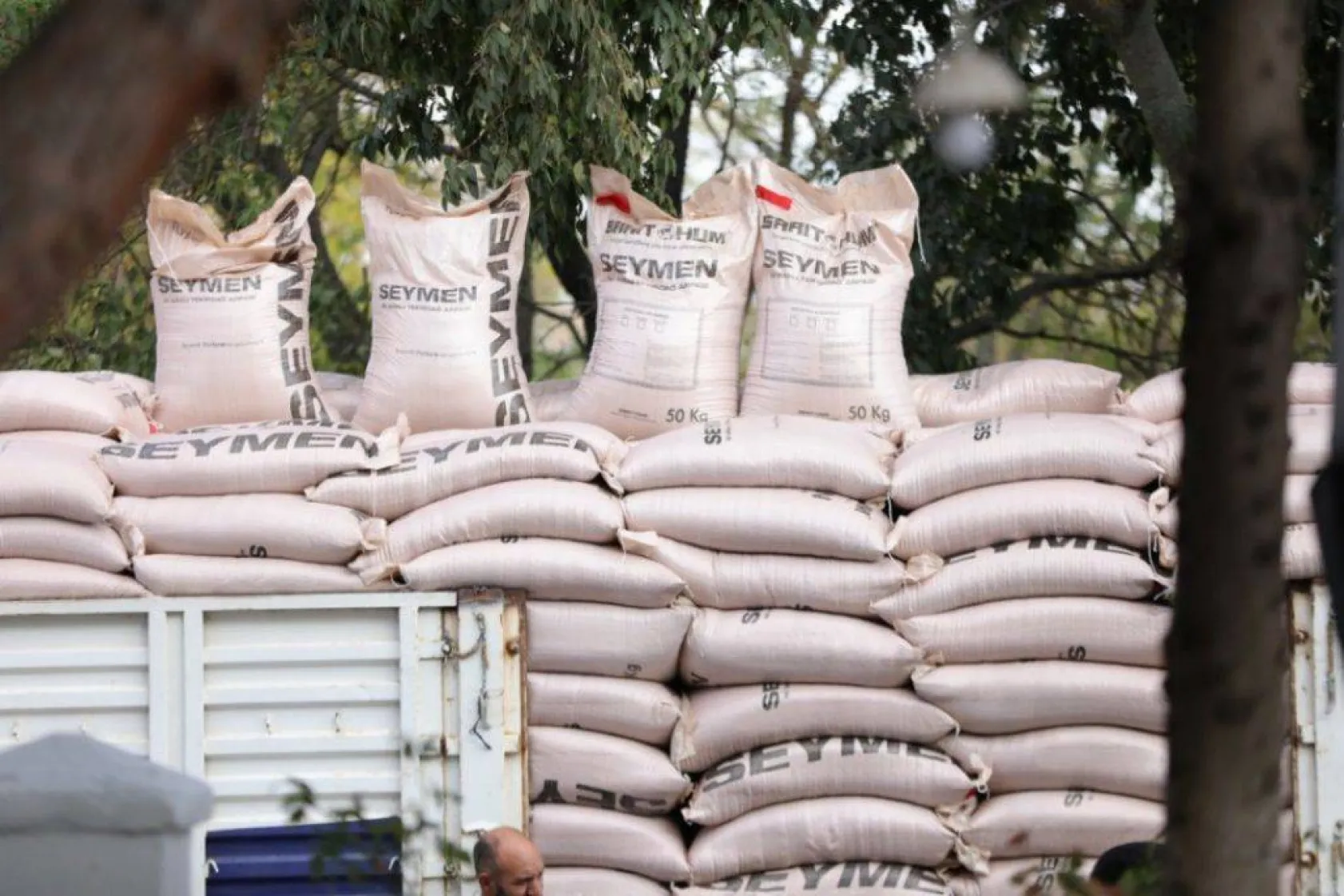 Tohumluk arpa dağıtımı devam ediyor