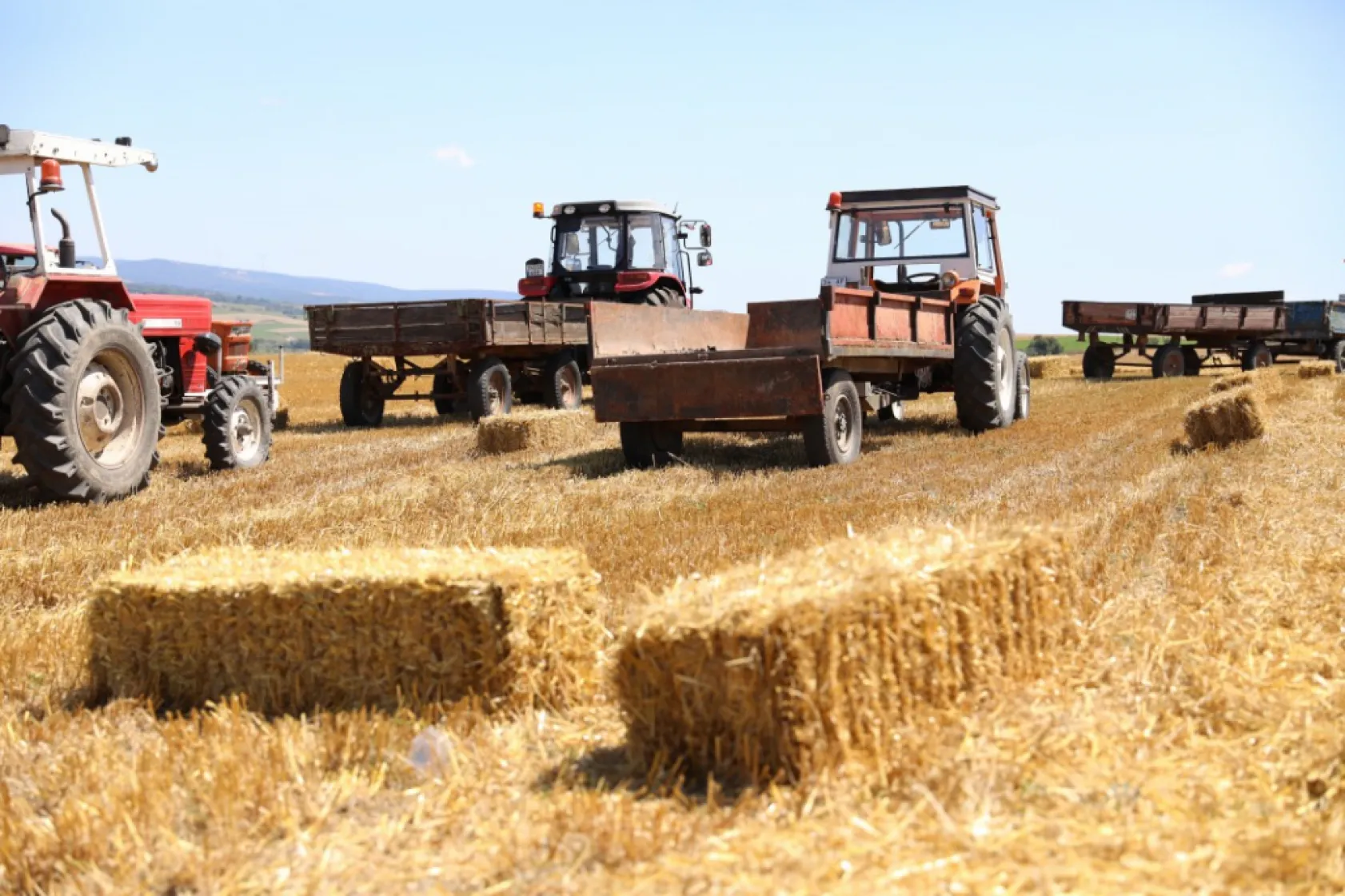 Silivri Belediyesinden üreticilere 2,5 milyon TL'lik saman desteği