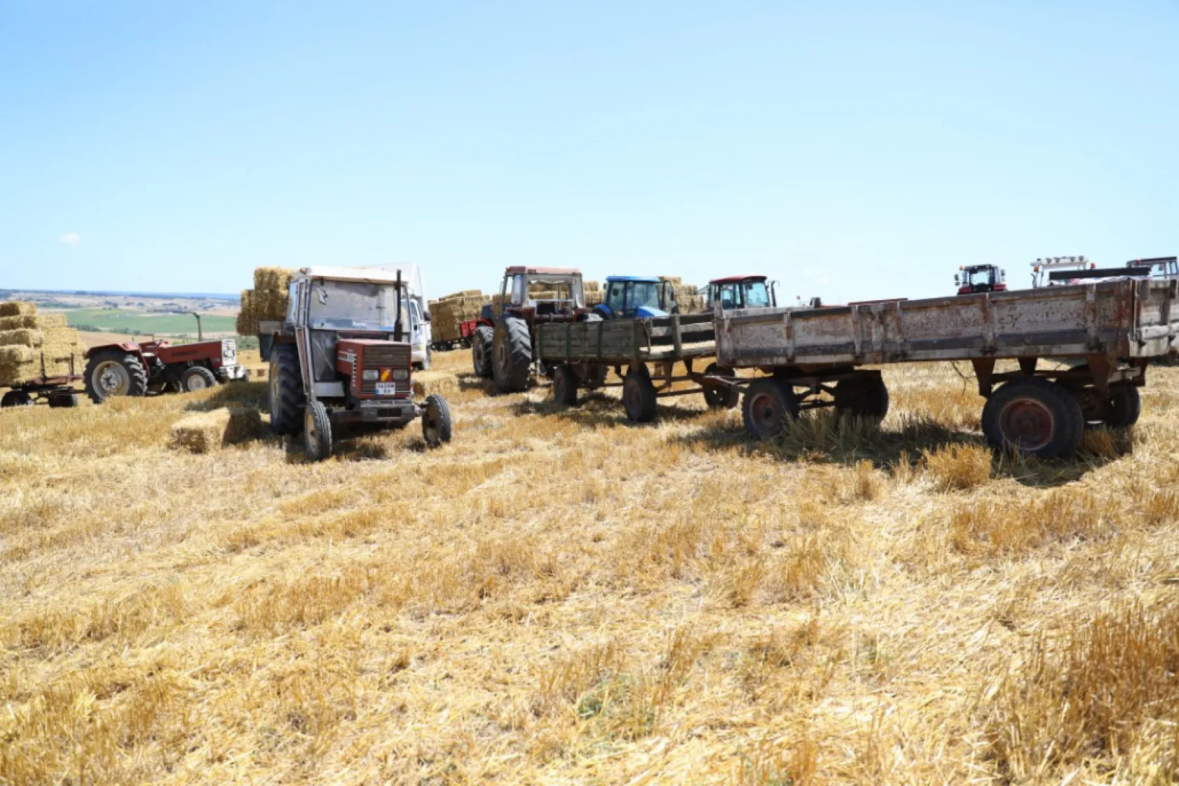 Silivri Belediyesinden üreticilere 2,5 milyon TL'lik saman desteği