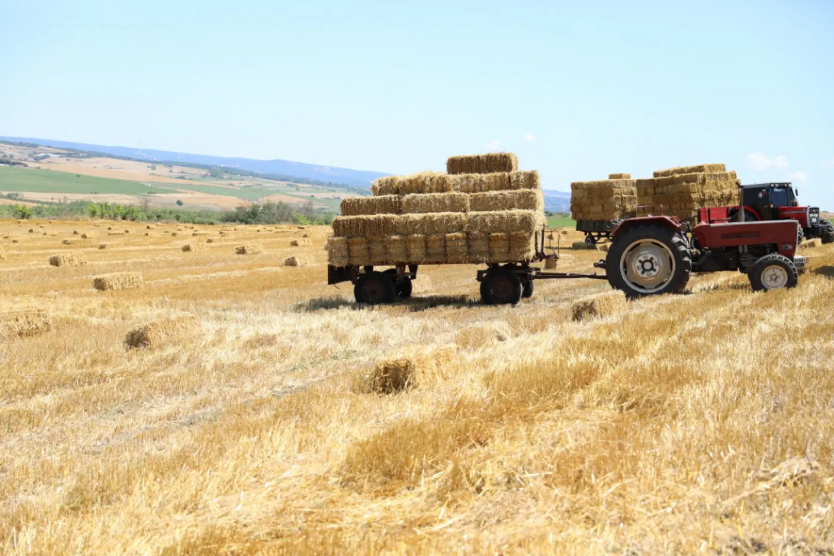 Silivri Belediyesinden üreticilere 2,5 milyon TL'lik saman desteği