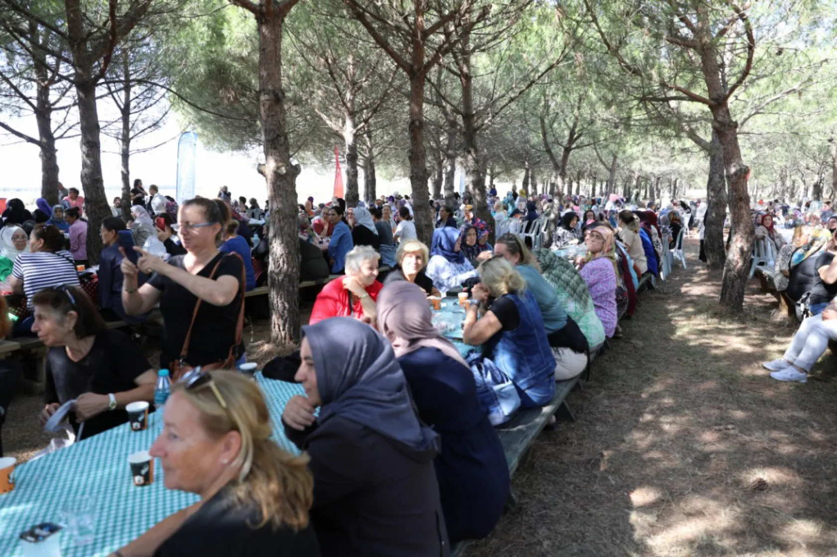 Silivri belediyesinden kadın üreticilere 300.000 fide