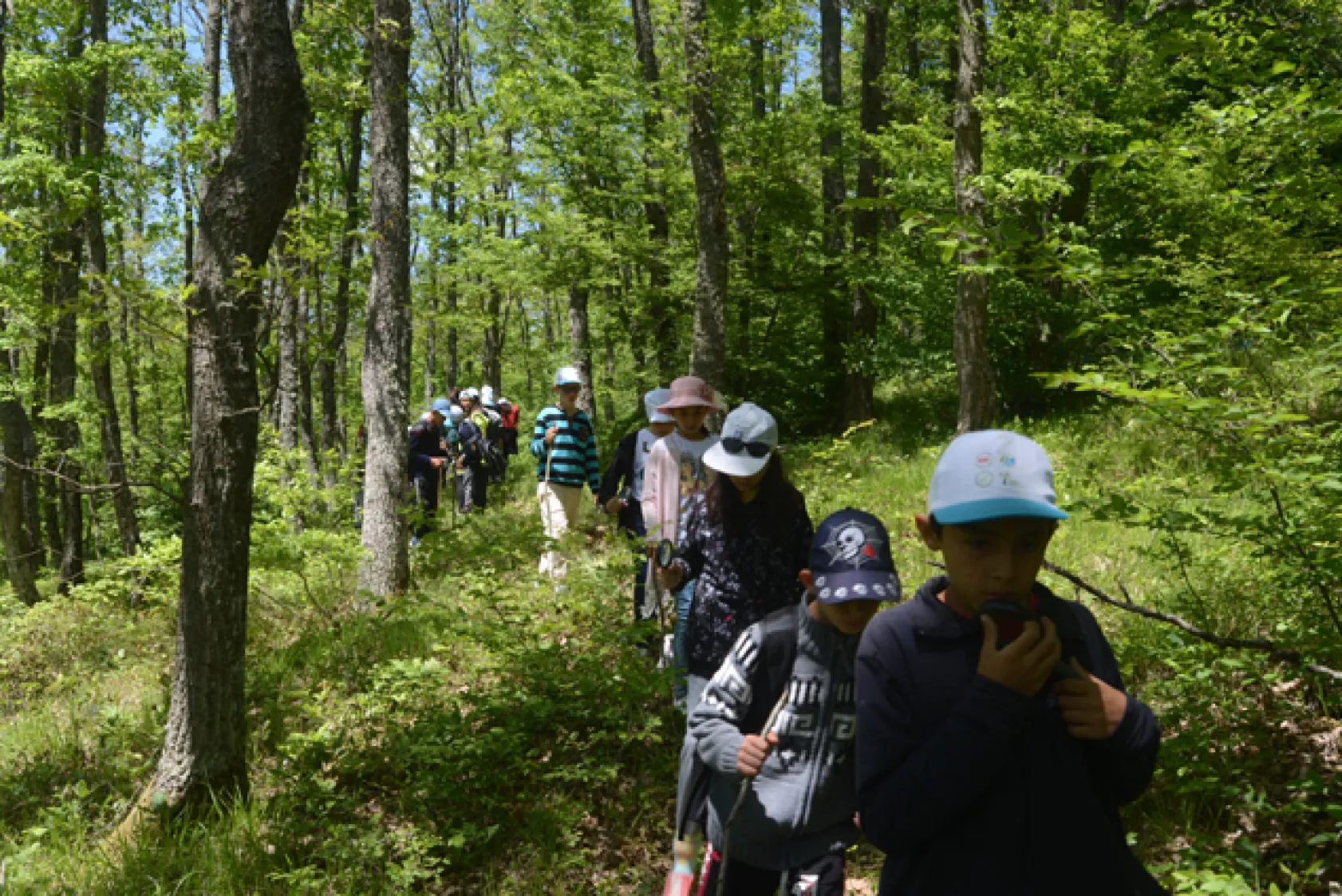 Öğrencilere Uygulamalı Doğa Eğitimi