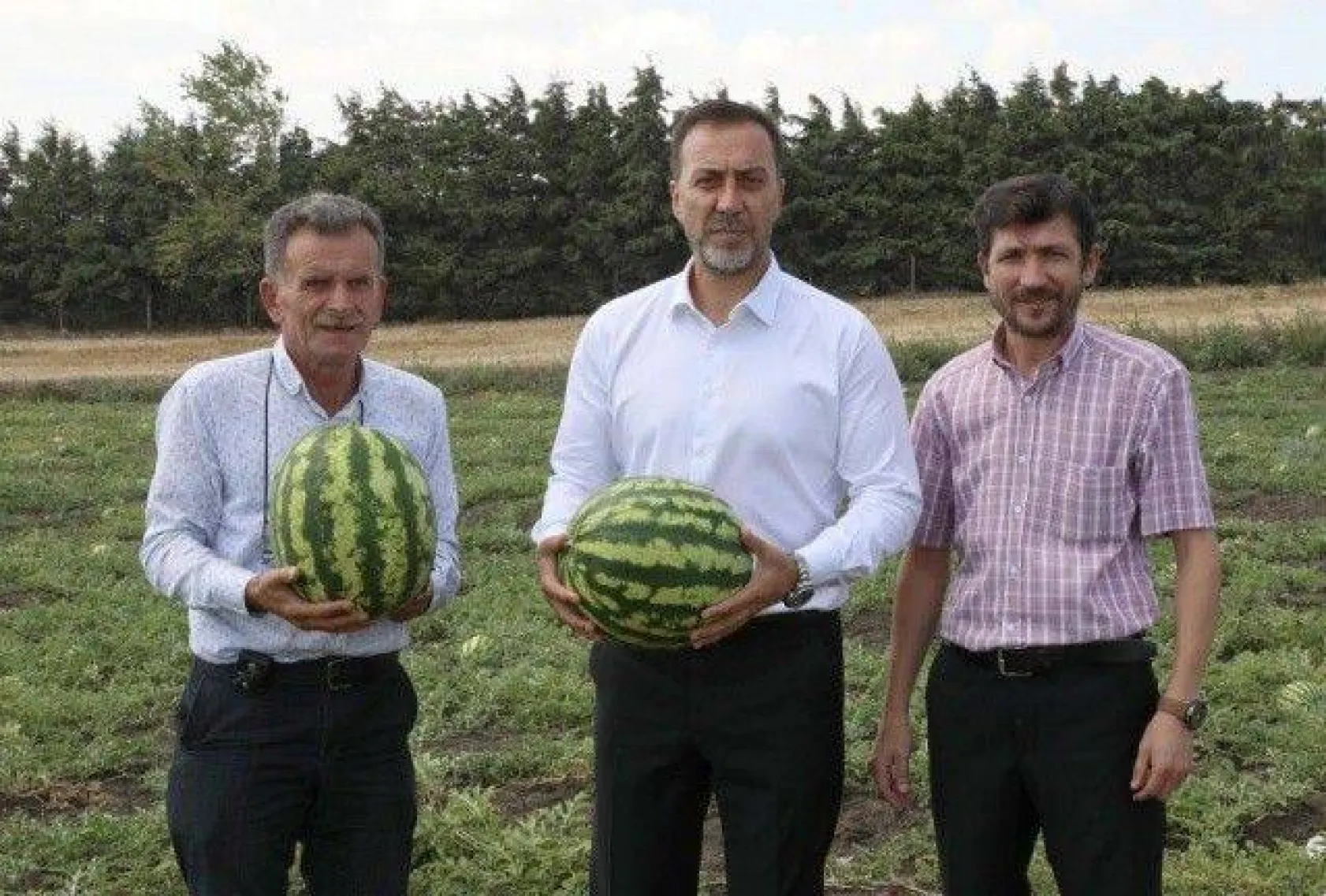 Başkan Yılmaz Karpuz ve Domates Hasadı Yaptı