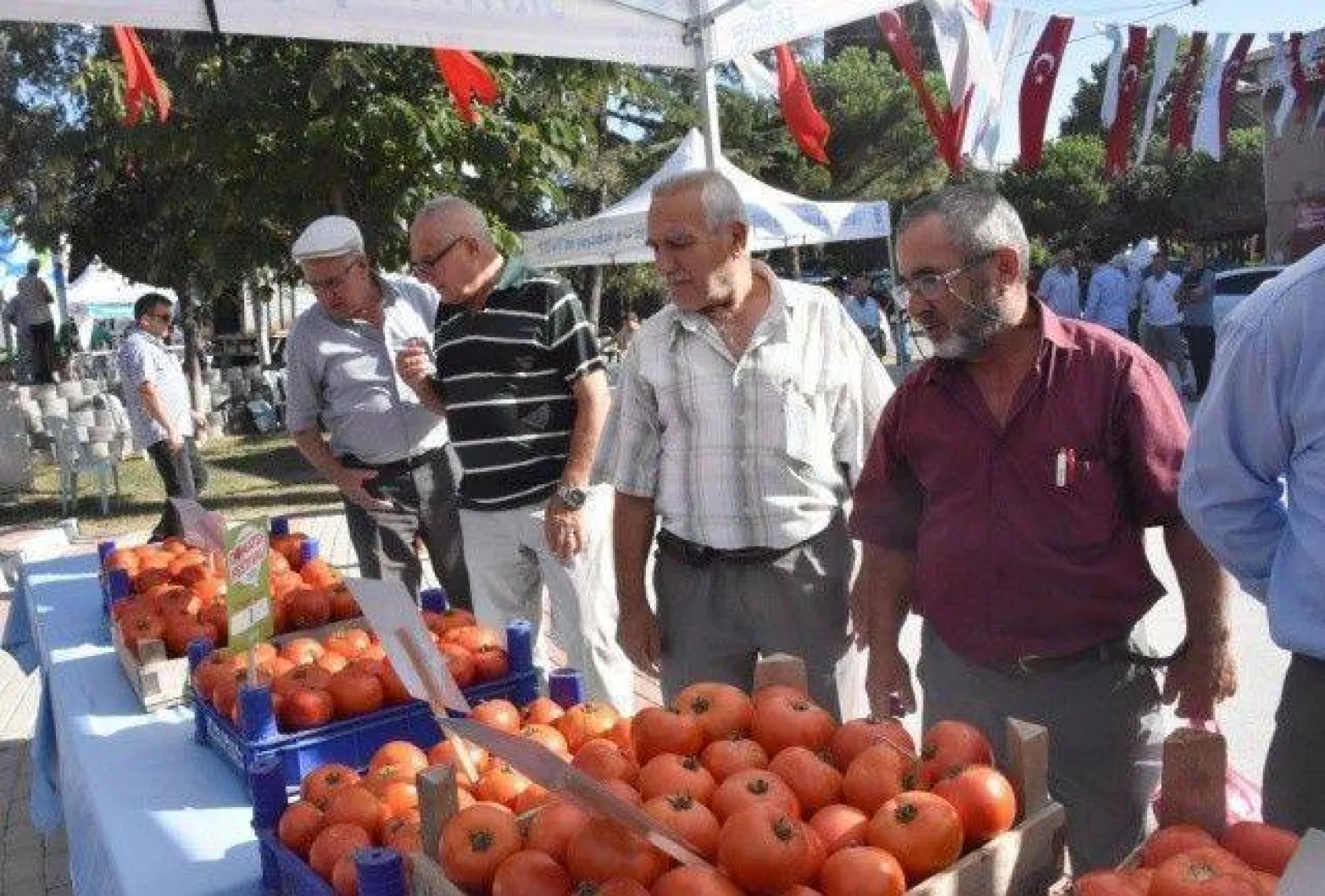 Silivri En İyi Domatesi ve 'Güzeli'ni Seçti