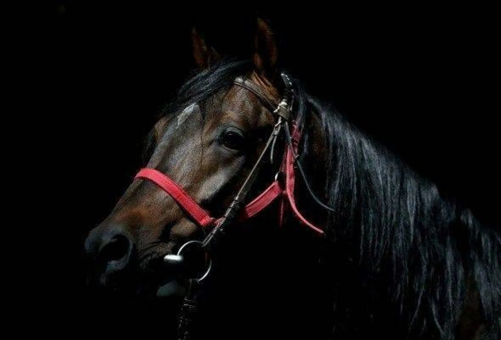 Efsane babaların efsane oğulları