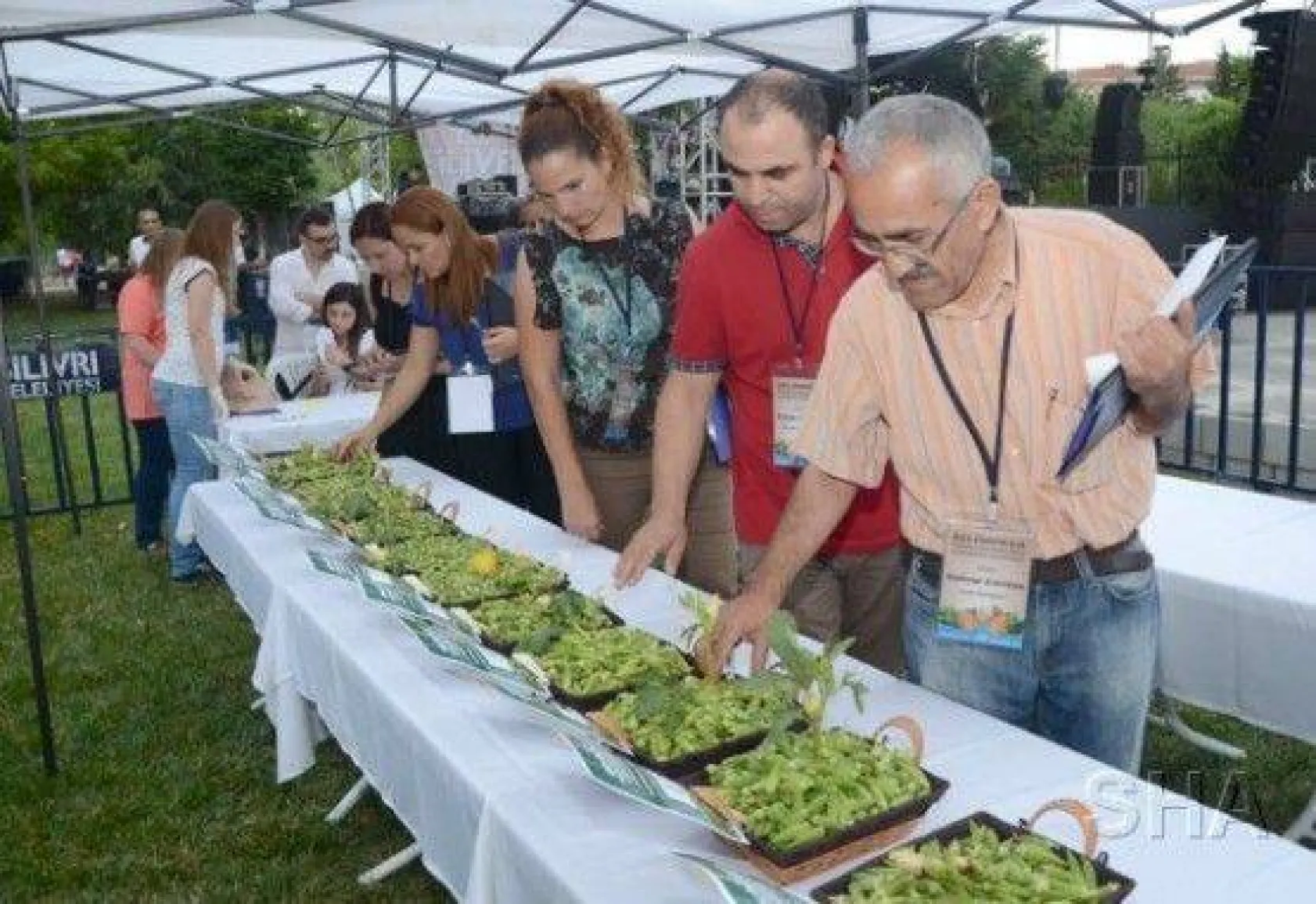 Selimpaşa'da Festival Coşkusu