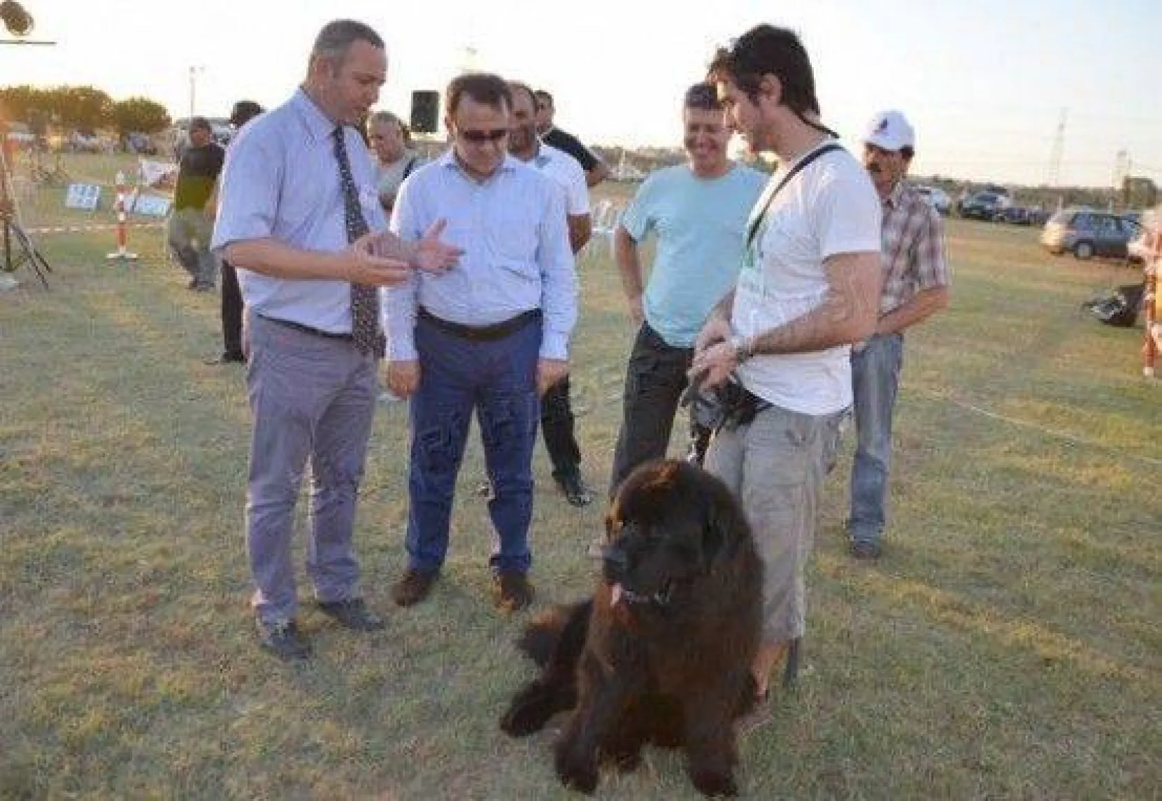 Köpek Irklari 4. Kez Silivri'de Yarıştı