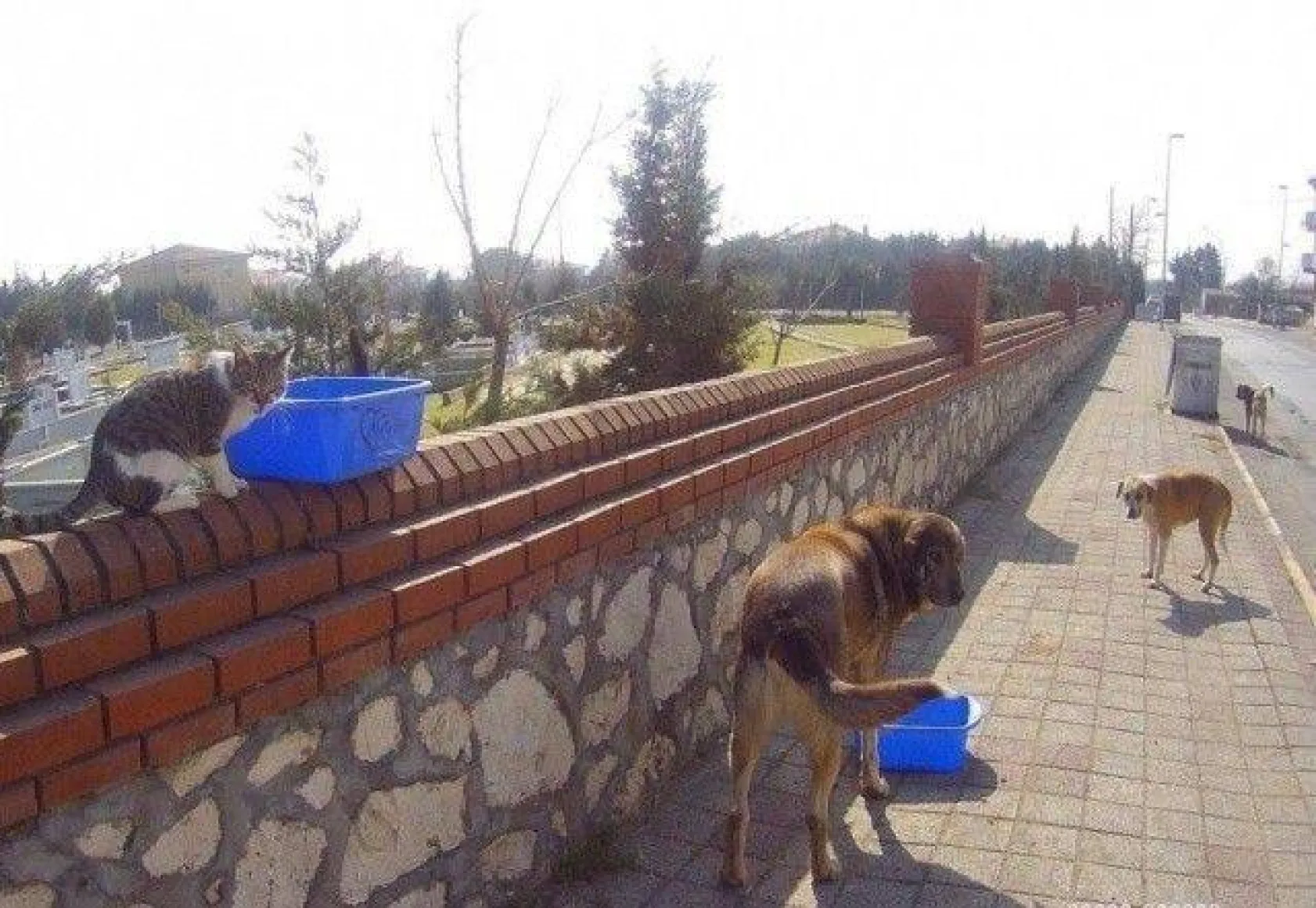 Belediye Ekiplerinden Hafta Sonu Mesaisi