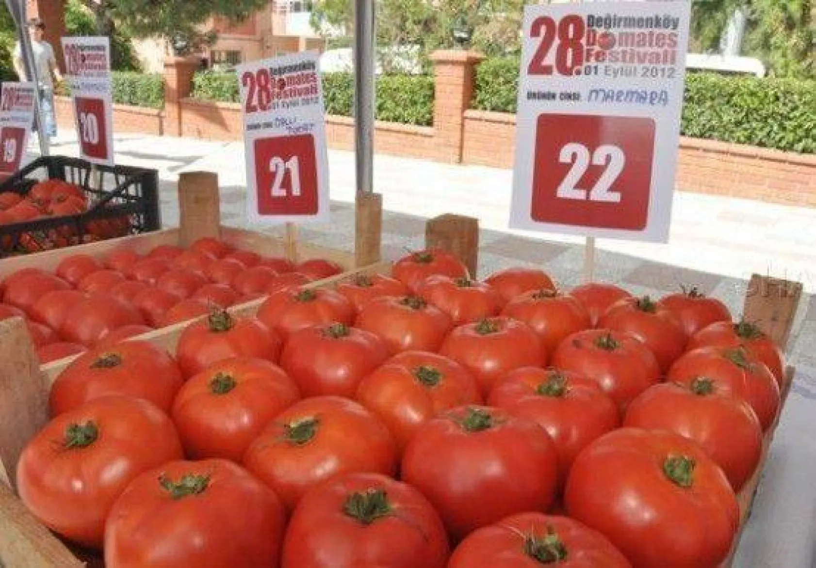 28.Değirmenköy Domates Festivali