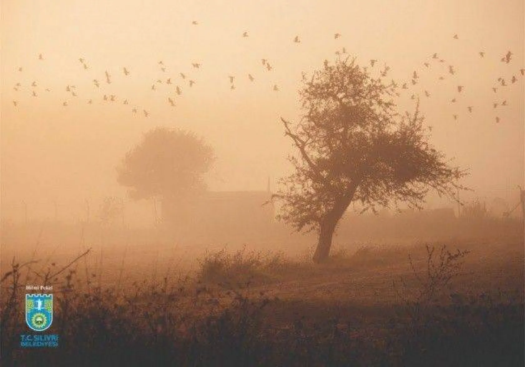 Foto Safari 2020 sonuçlandı