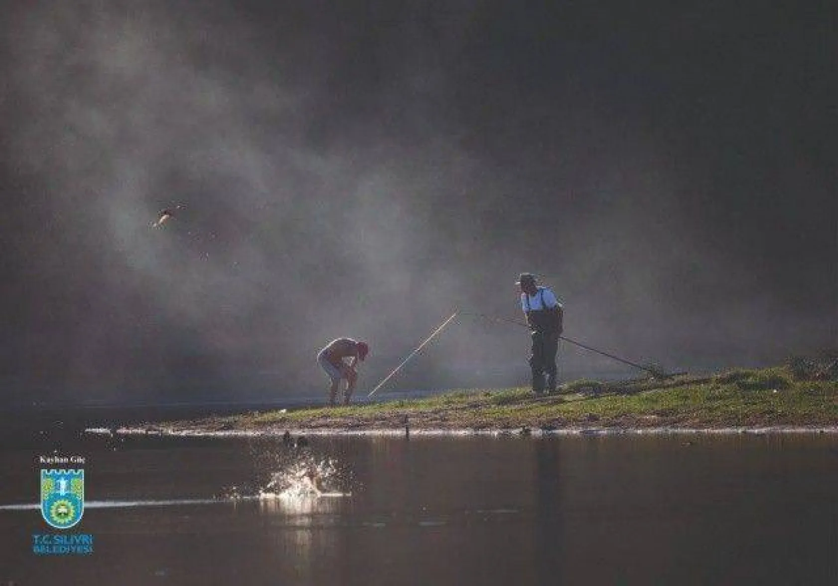 Foto Safari 2020 sonuçlandı