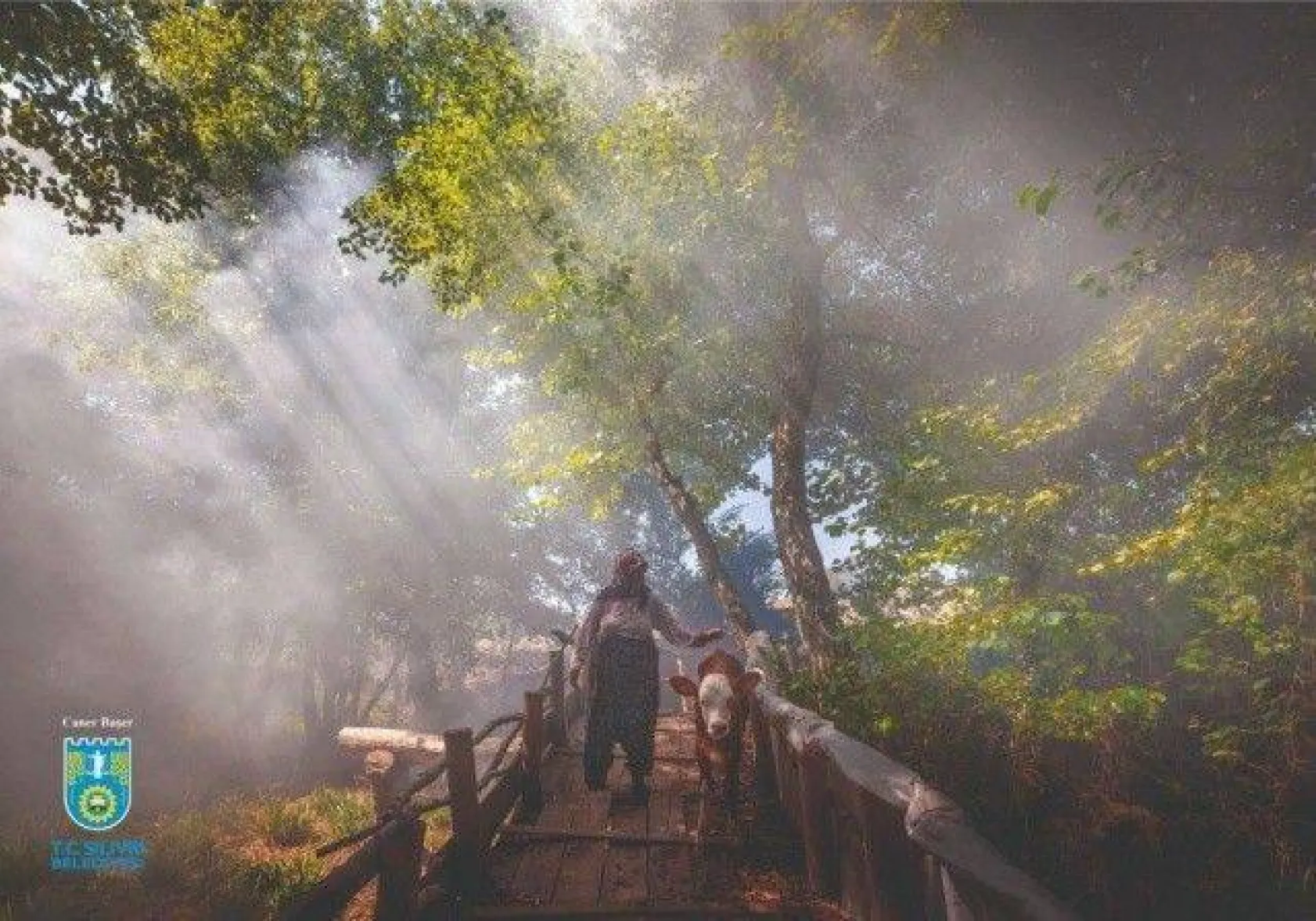 Foto Safari 2020 sonuçlandı