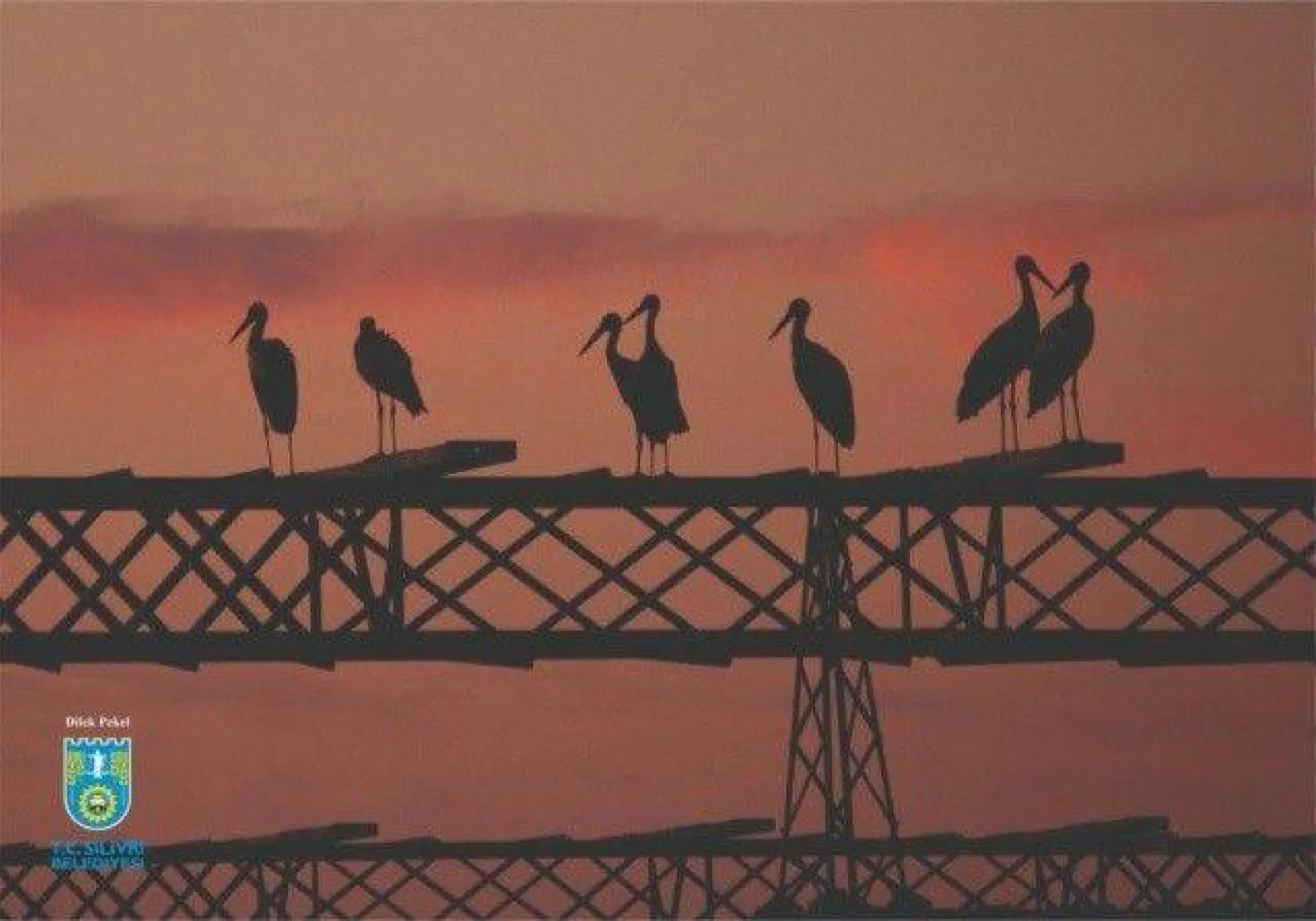 Foto Safari 2020 sonuçlandı