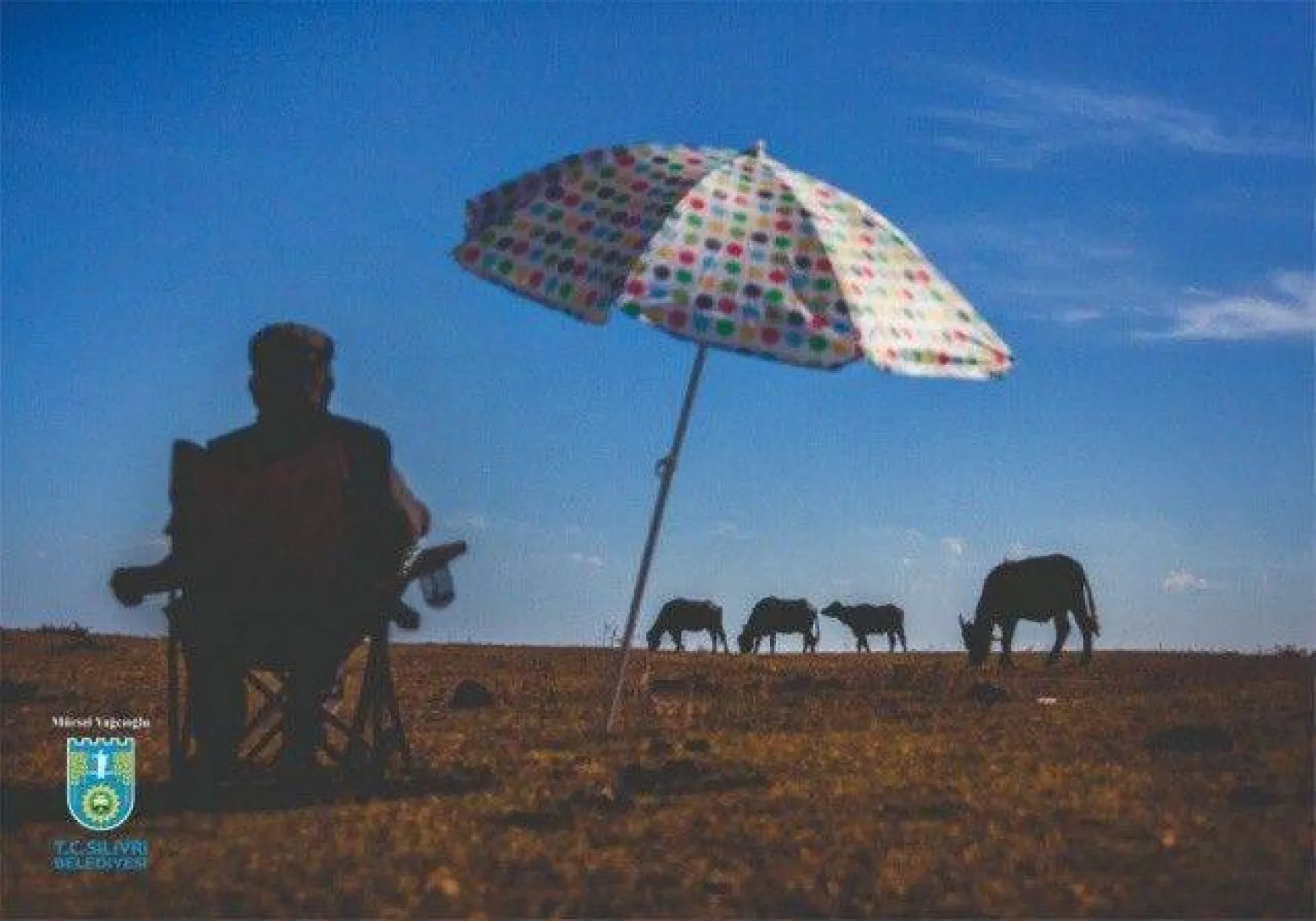 Foto Safari 2020 sonuçlandı