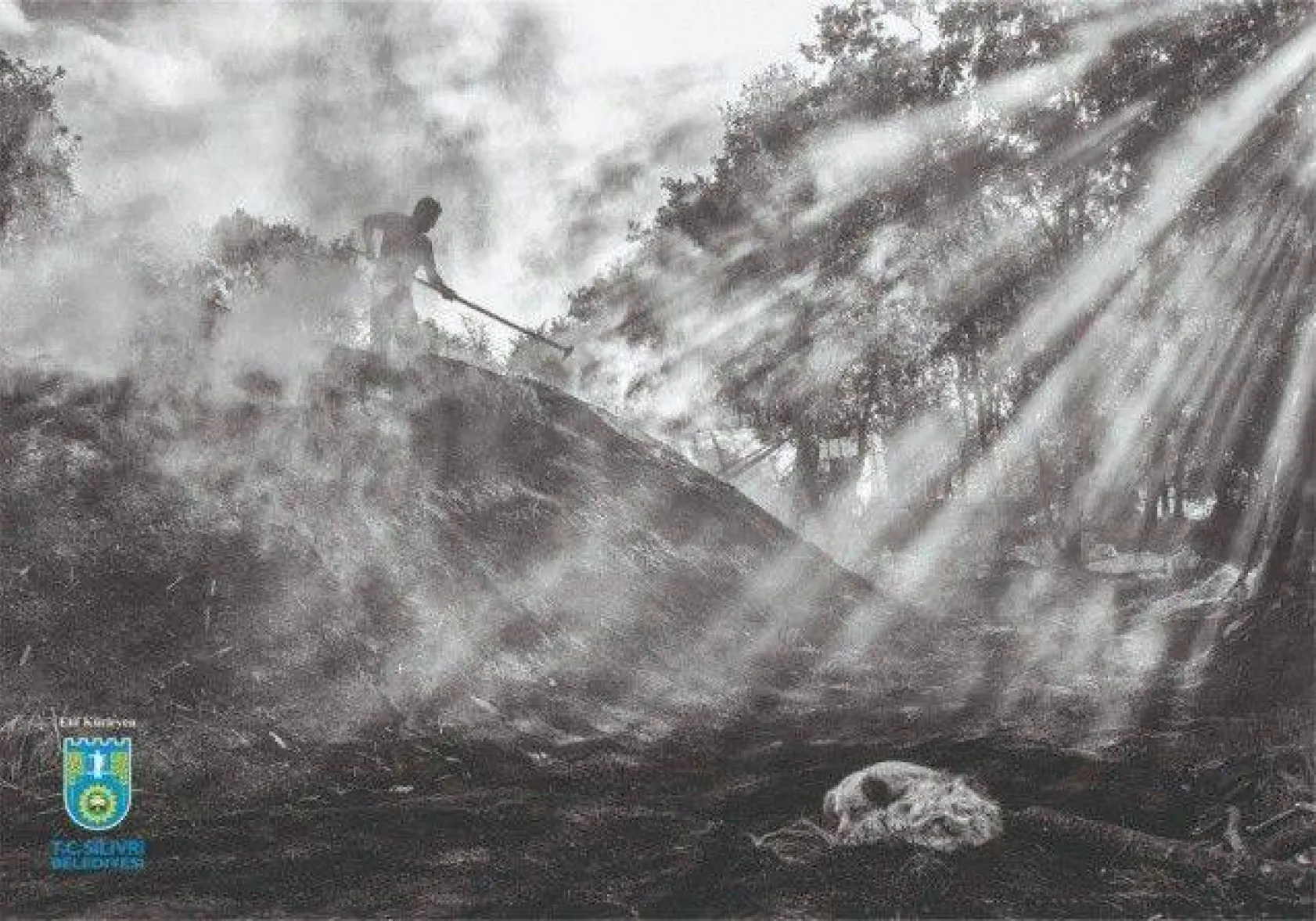 Foto Safari 2020 sonuçlandı