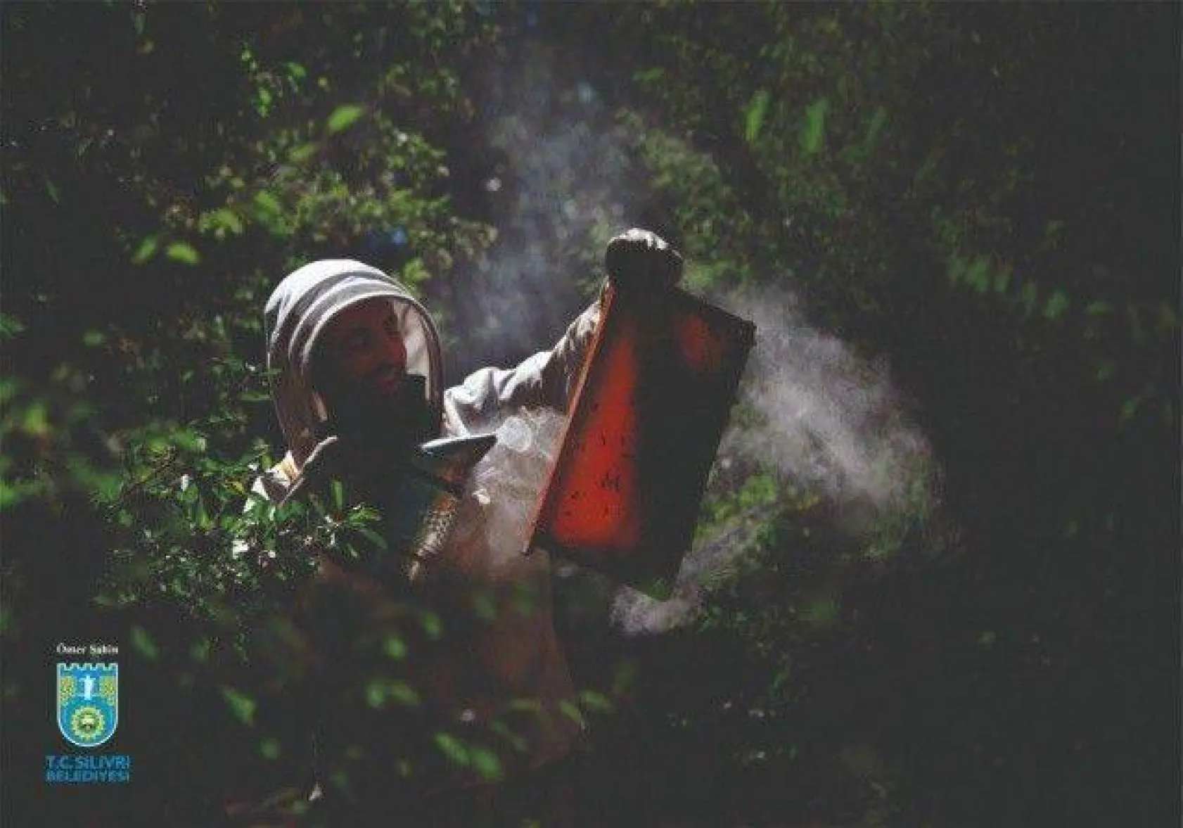 Foto Safari 2020 sonuçlandı