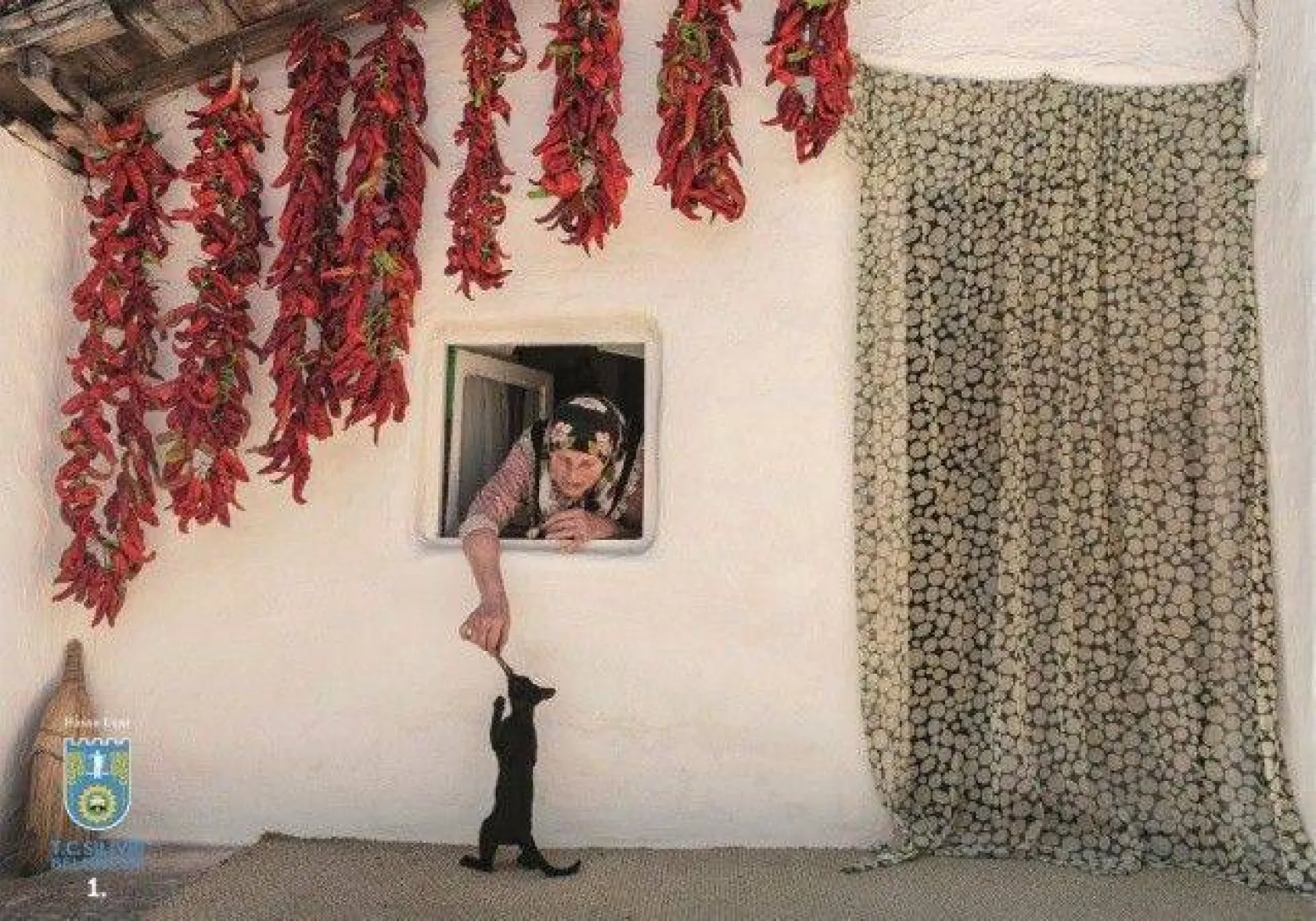 Foto Safari 2020 sonuçlandı