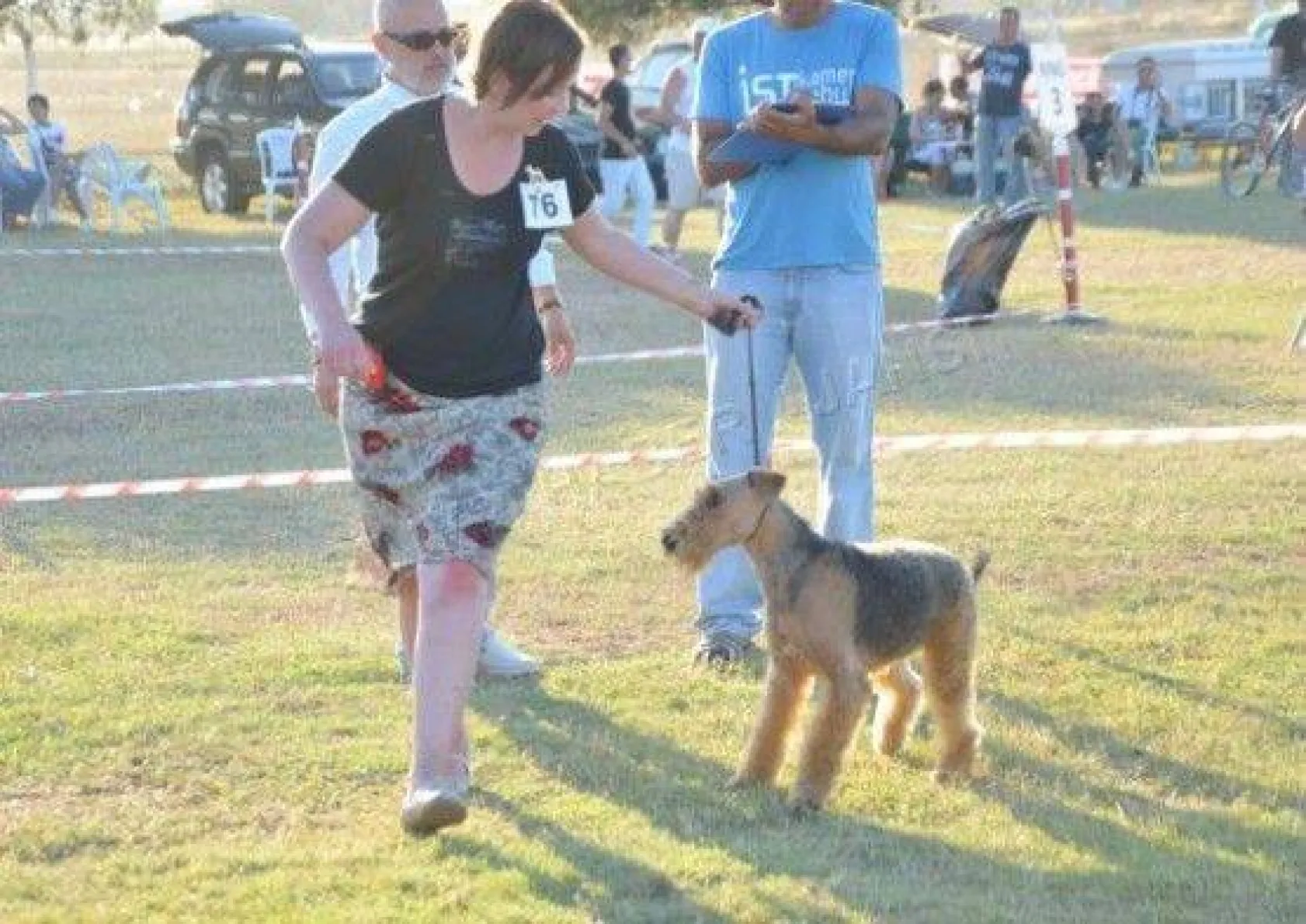 Köpek Irklari 4. Kez Silivri'de Yarıştı