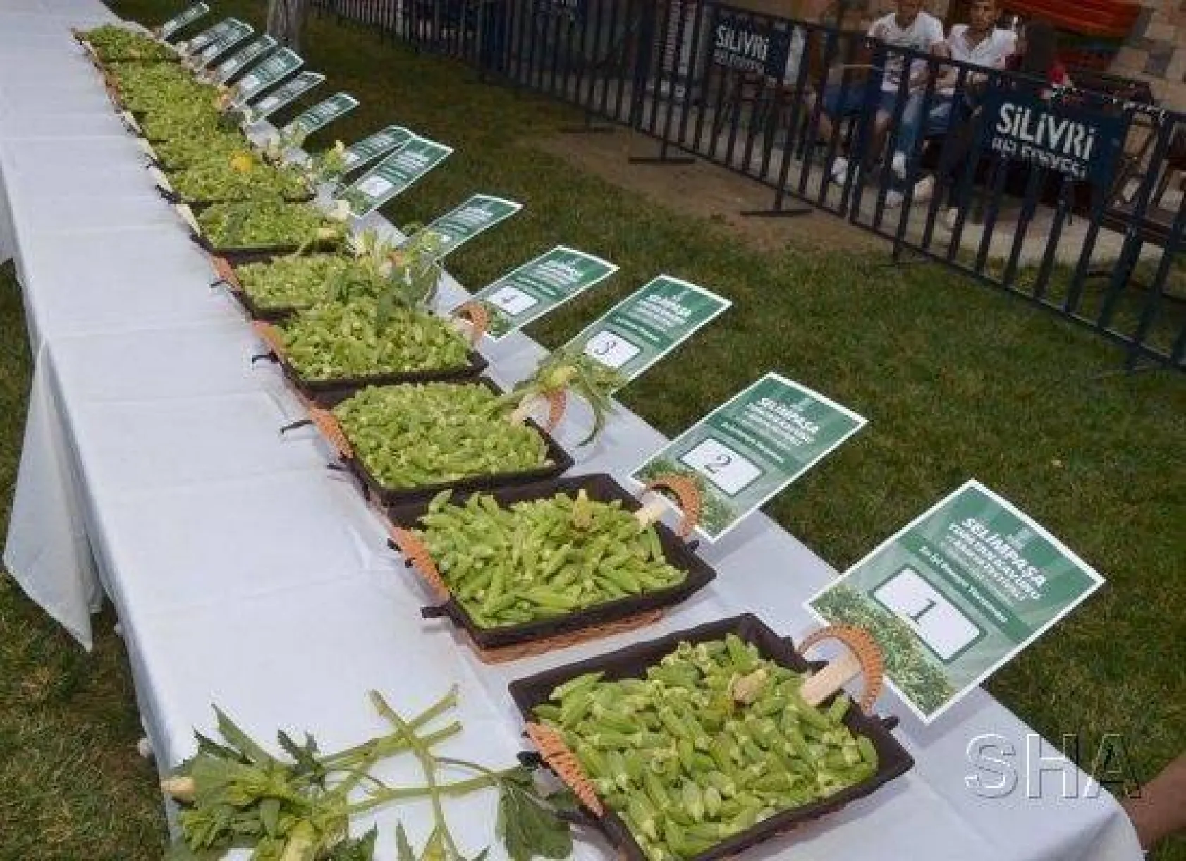 Selimpaşa'da Festival Coşkusu