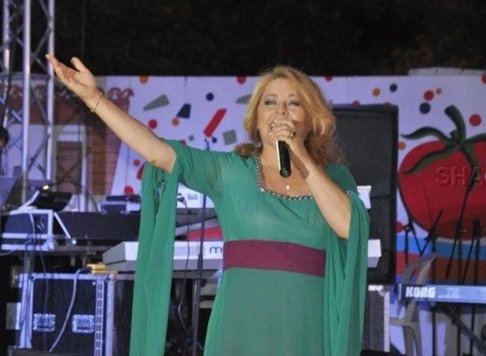 28.Değirmenköy Domates Festivali
