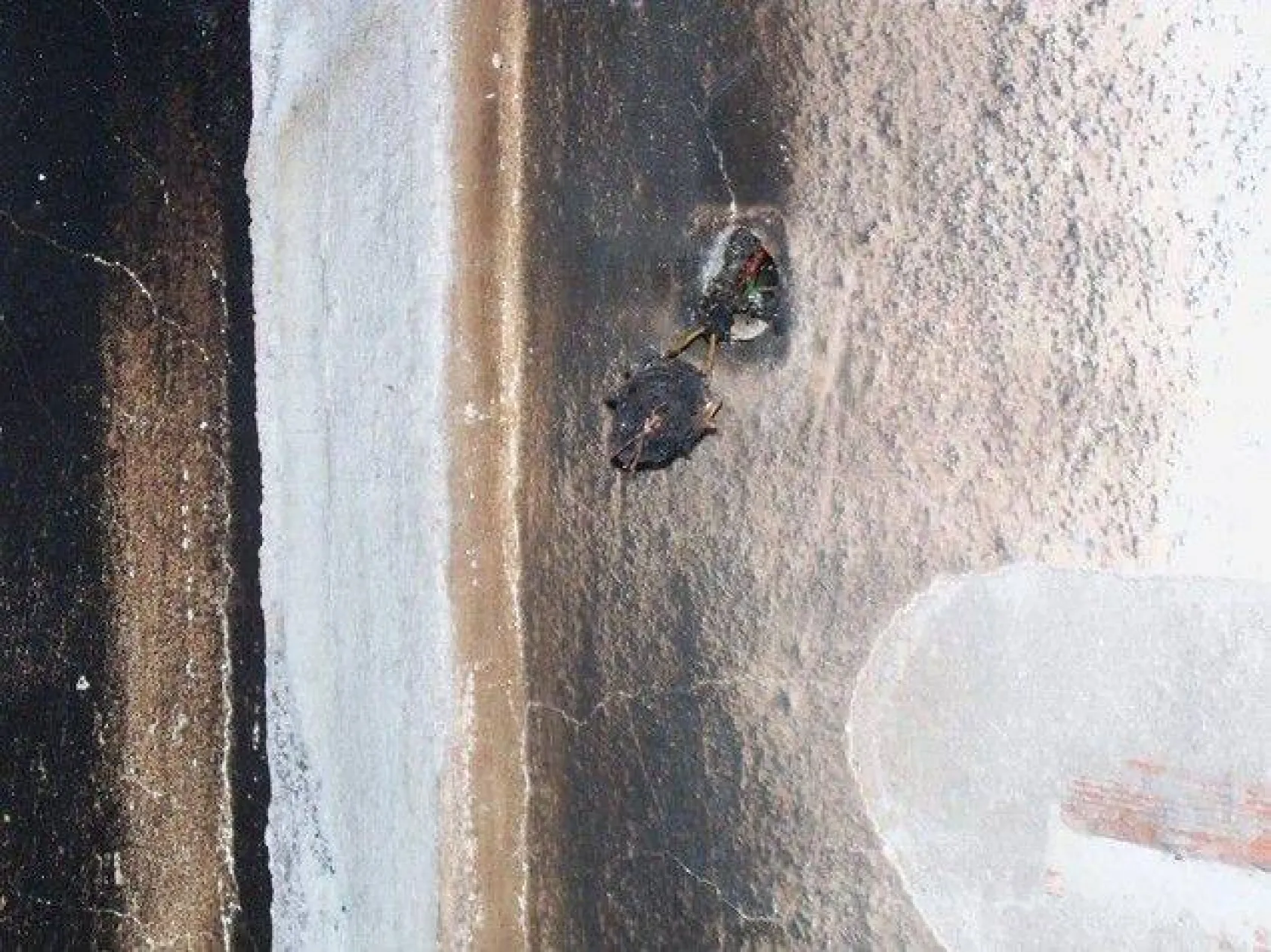 Büyükçavuşlu'da korkutan yangın