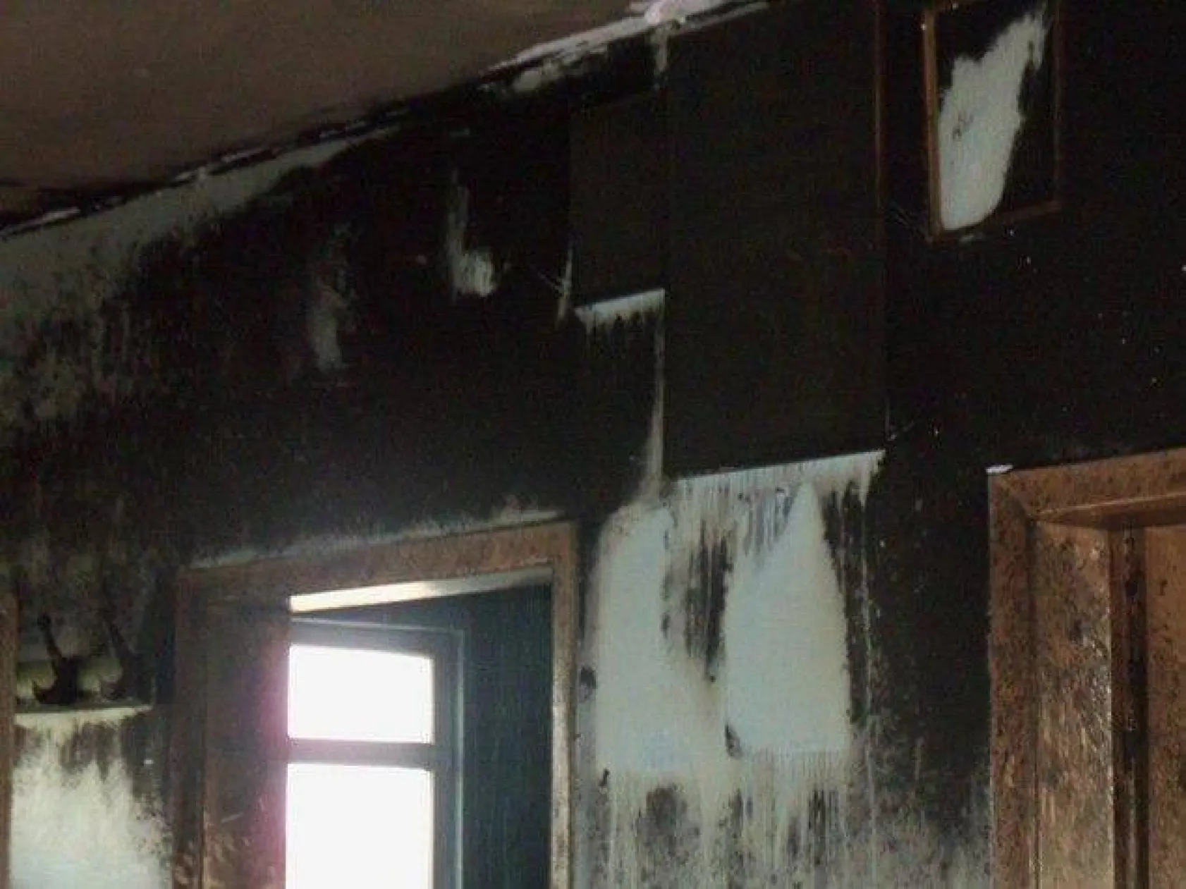 Büyükçavuşlu'da korkutan yangın