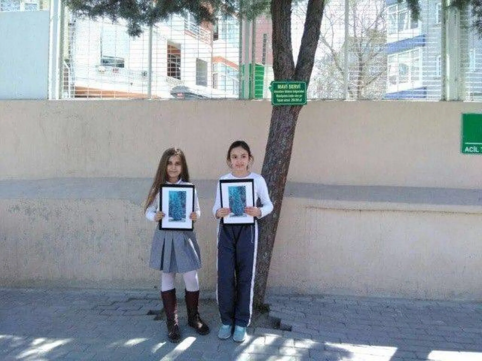 Ağaçları tanıma tanıtma etkinliği