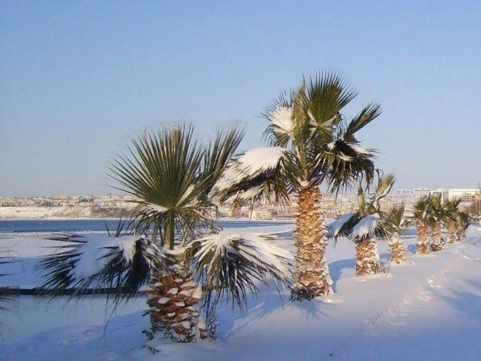 Kış mevsiminde Silivri