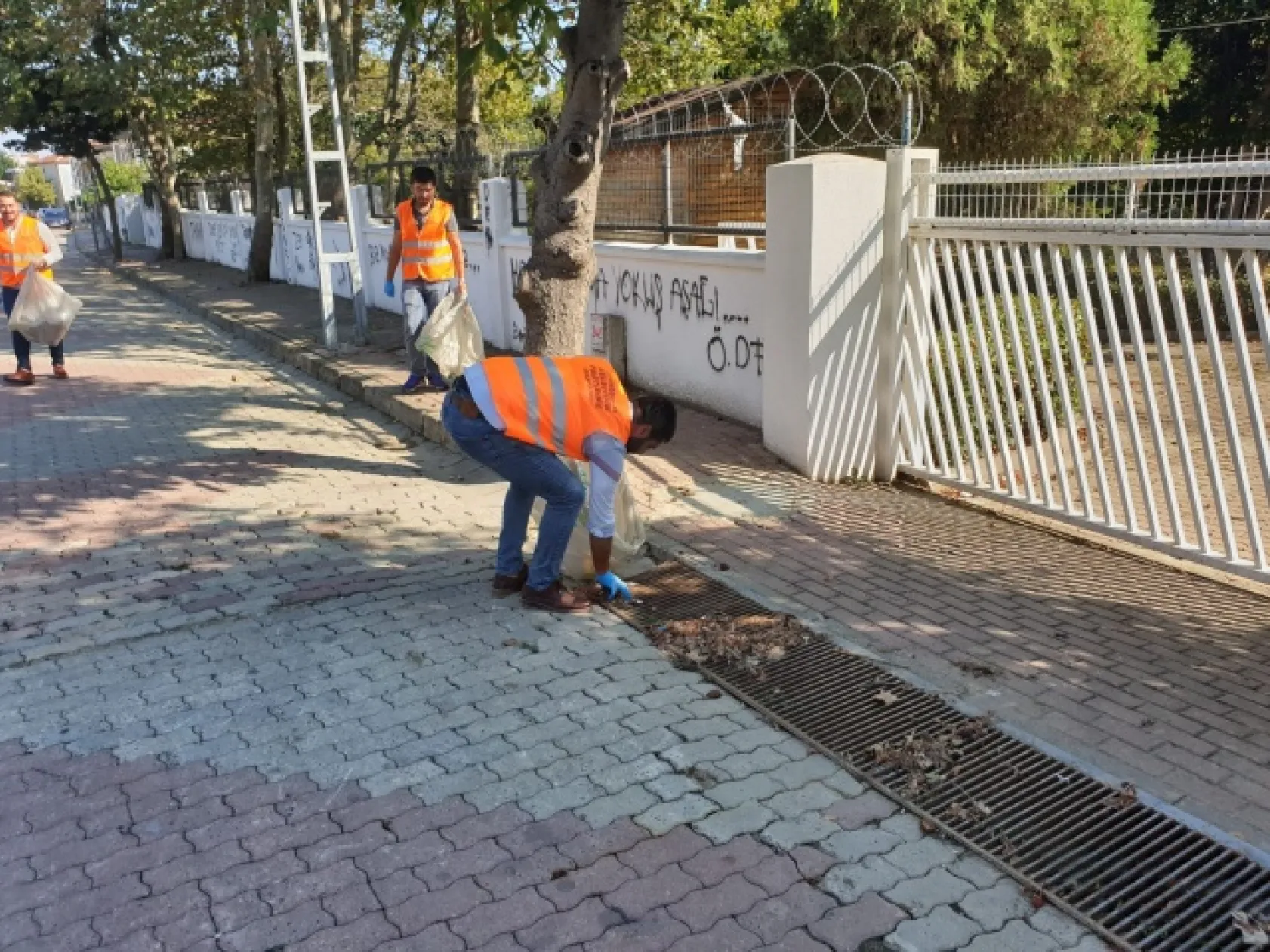 Ak Partili Gençler Çöp Topladı