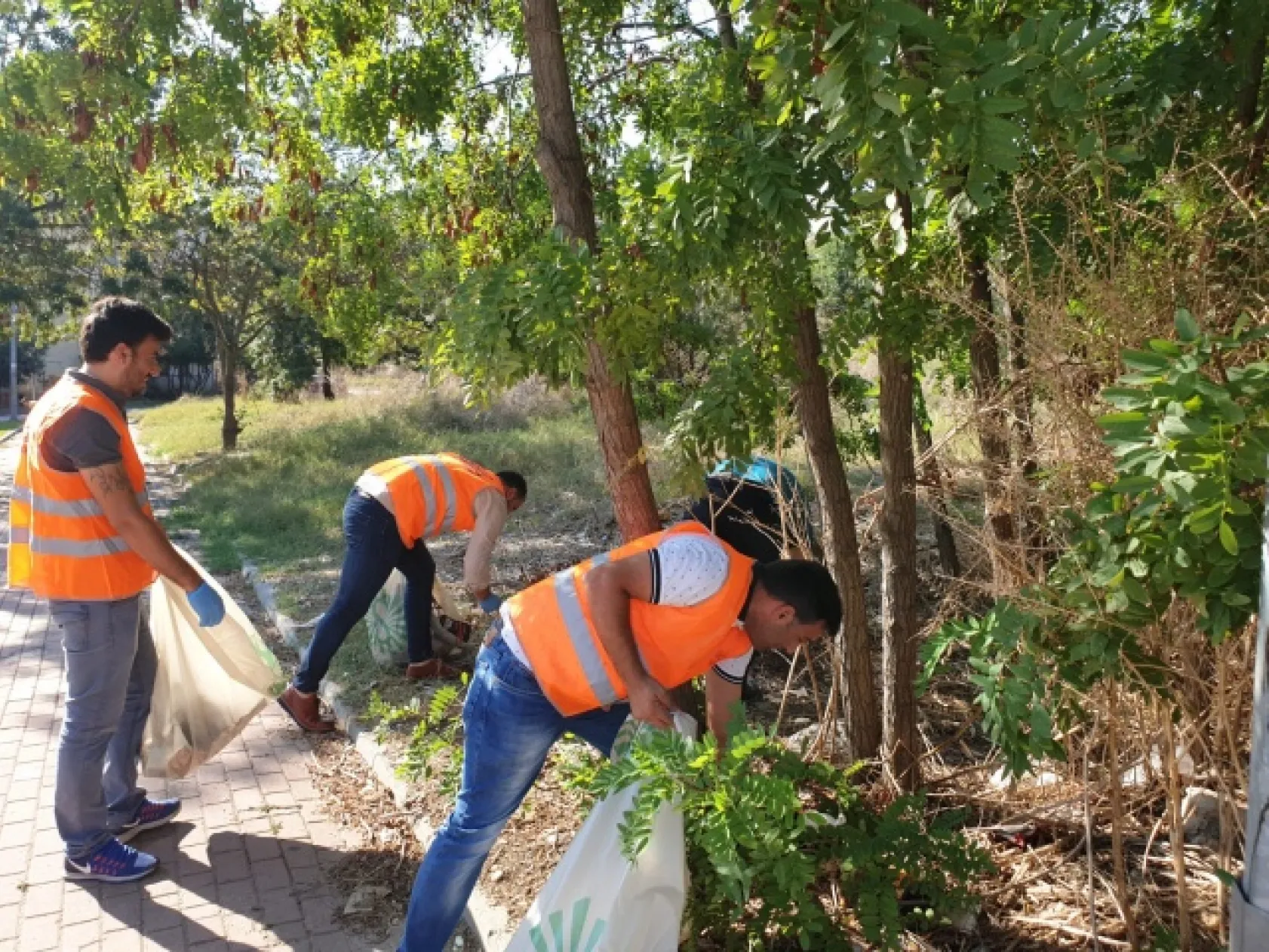 Ak Partili Gençler Çöp Topladı
