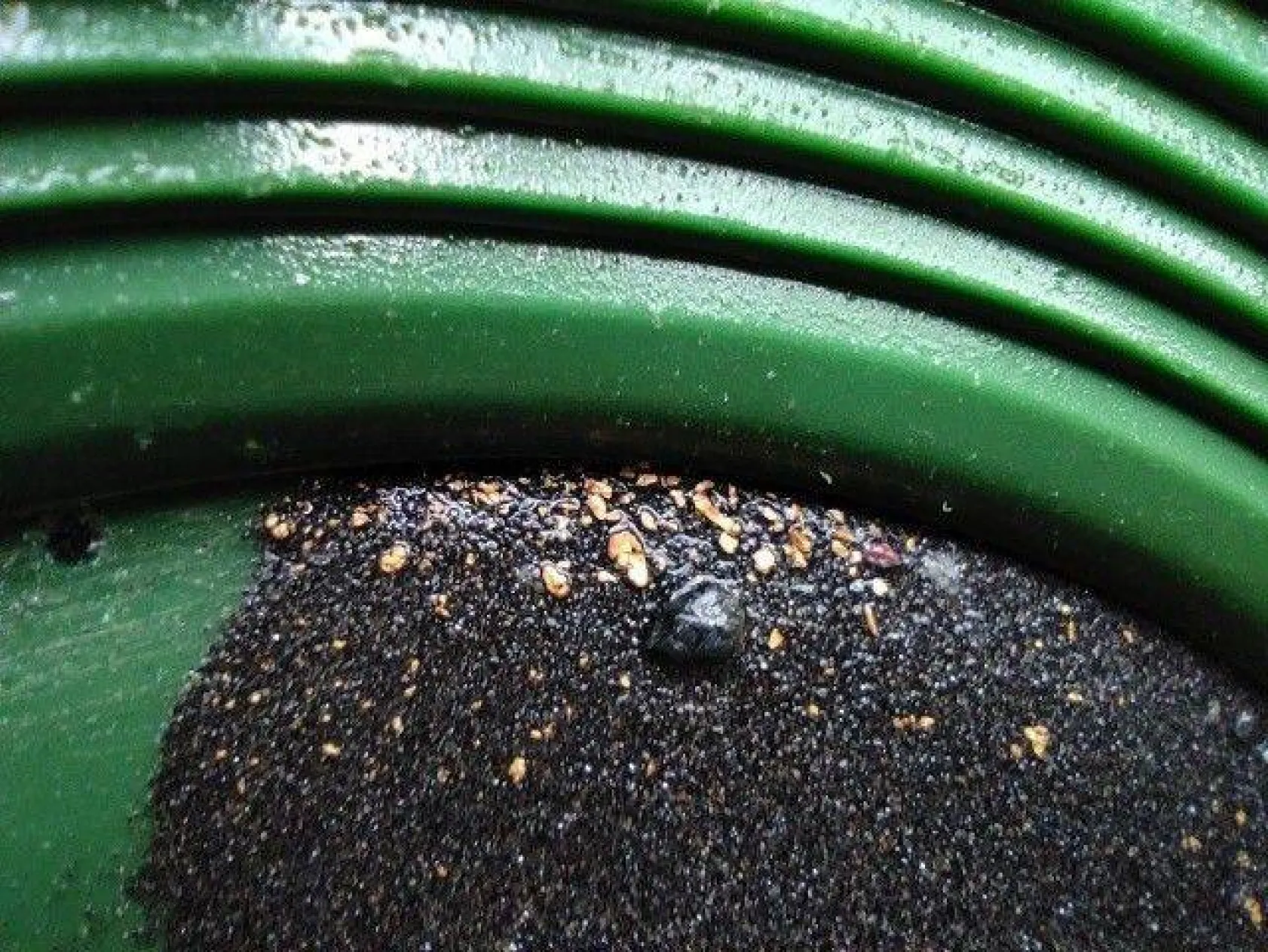 Uludağ'ın eteklerinde altın arıyorlar