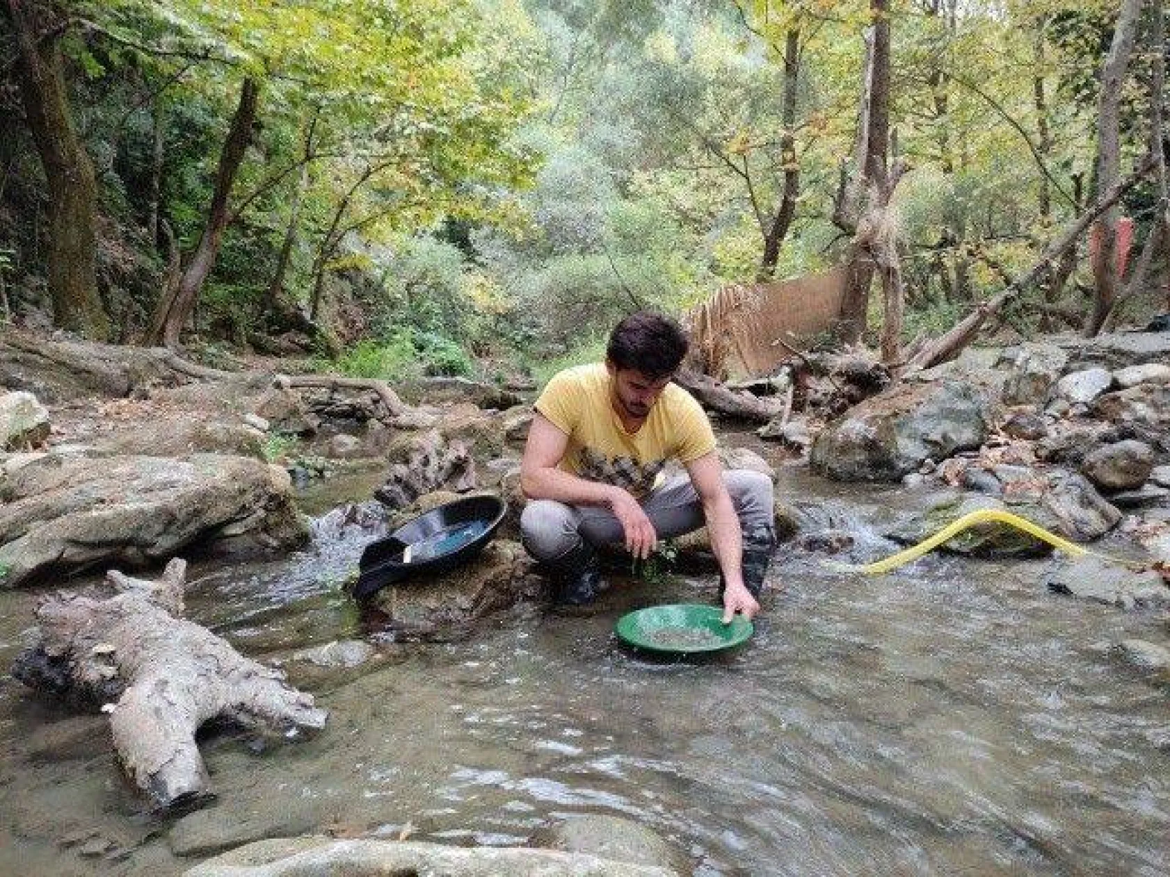 Uludağ'ın eteklerinde altın arıyorlar