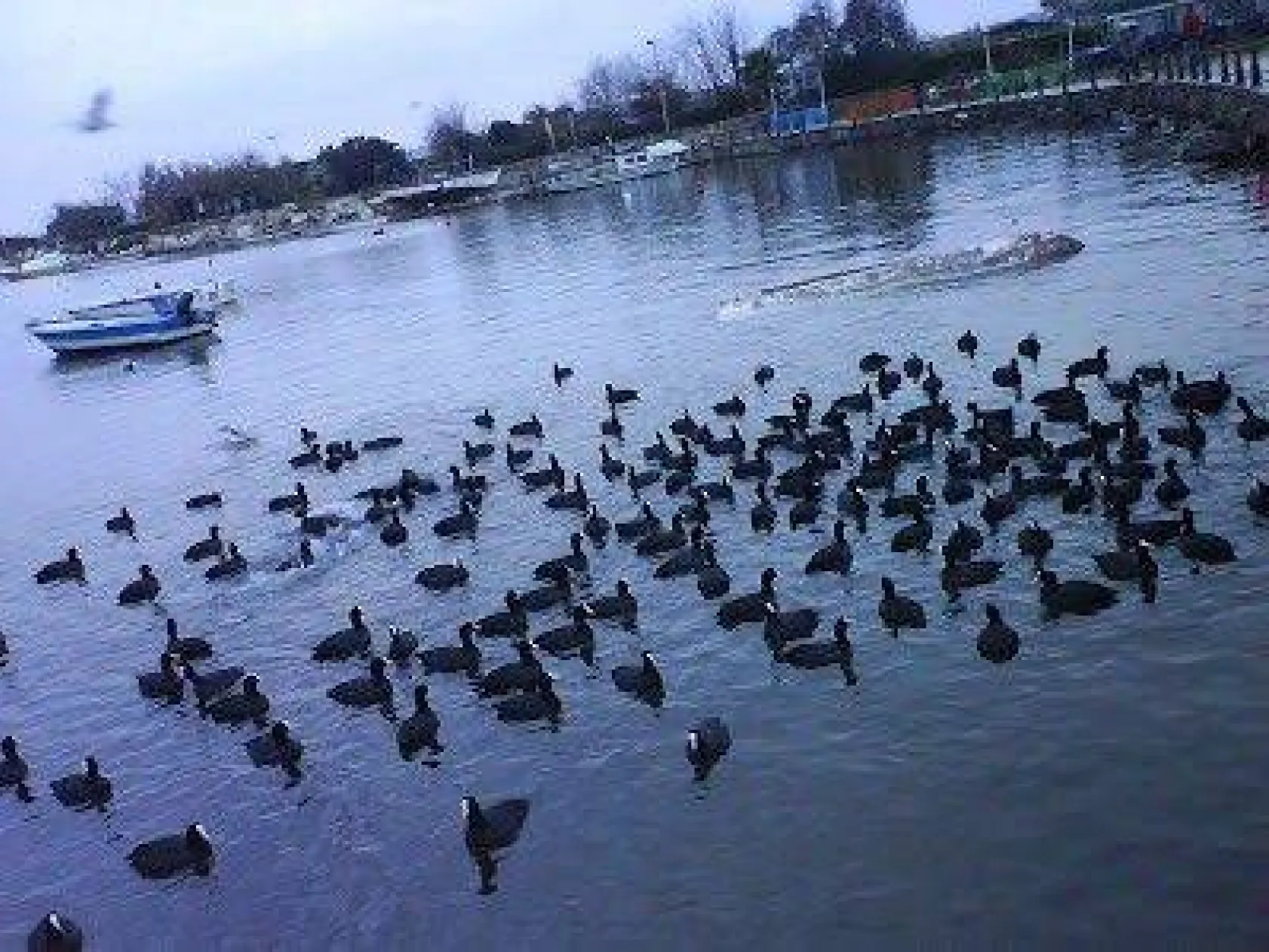 Kış mevsiminde Silivri