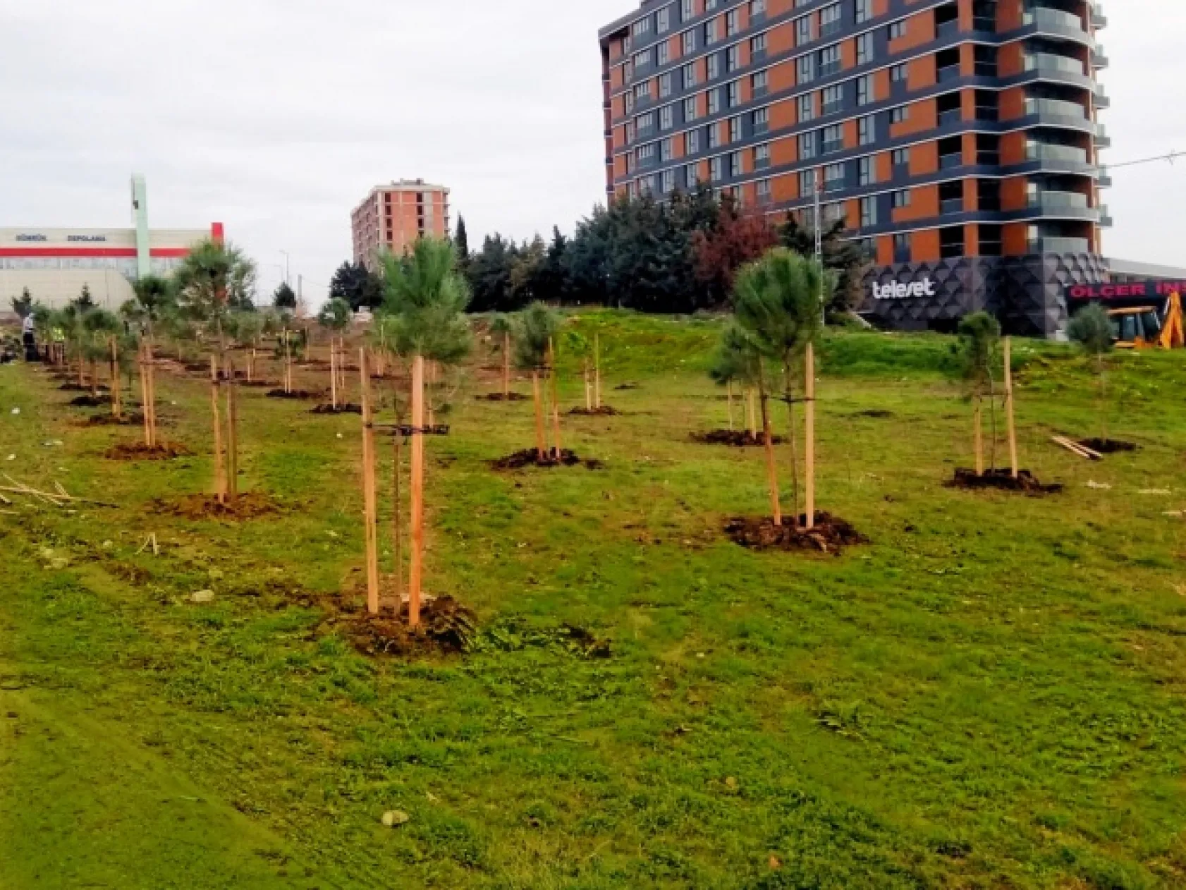 Silivri ADD'den ağaç dikme projesi