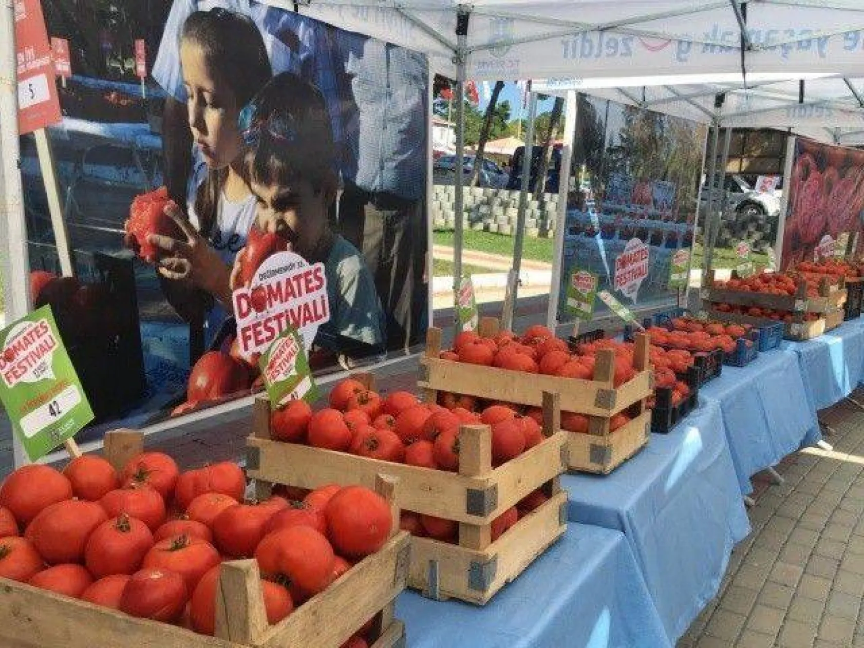 Silivri En İyi Domatesi ve 'Güzeli'ni Seçti