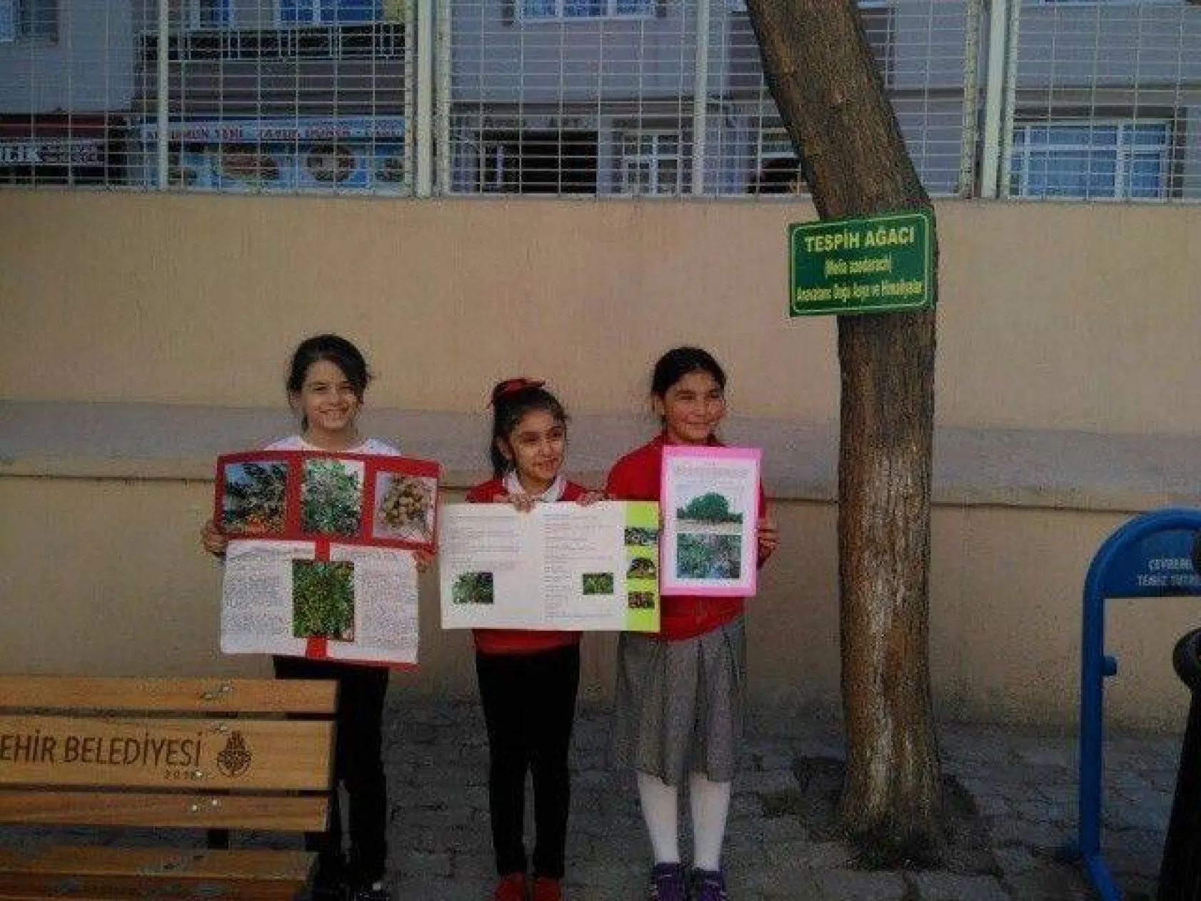 Ağaçları tanıma tanıtma etkinliği