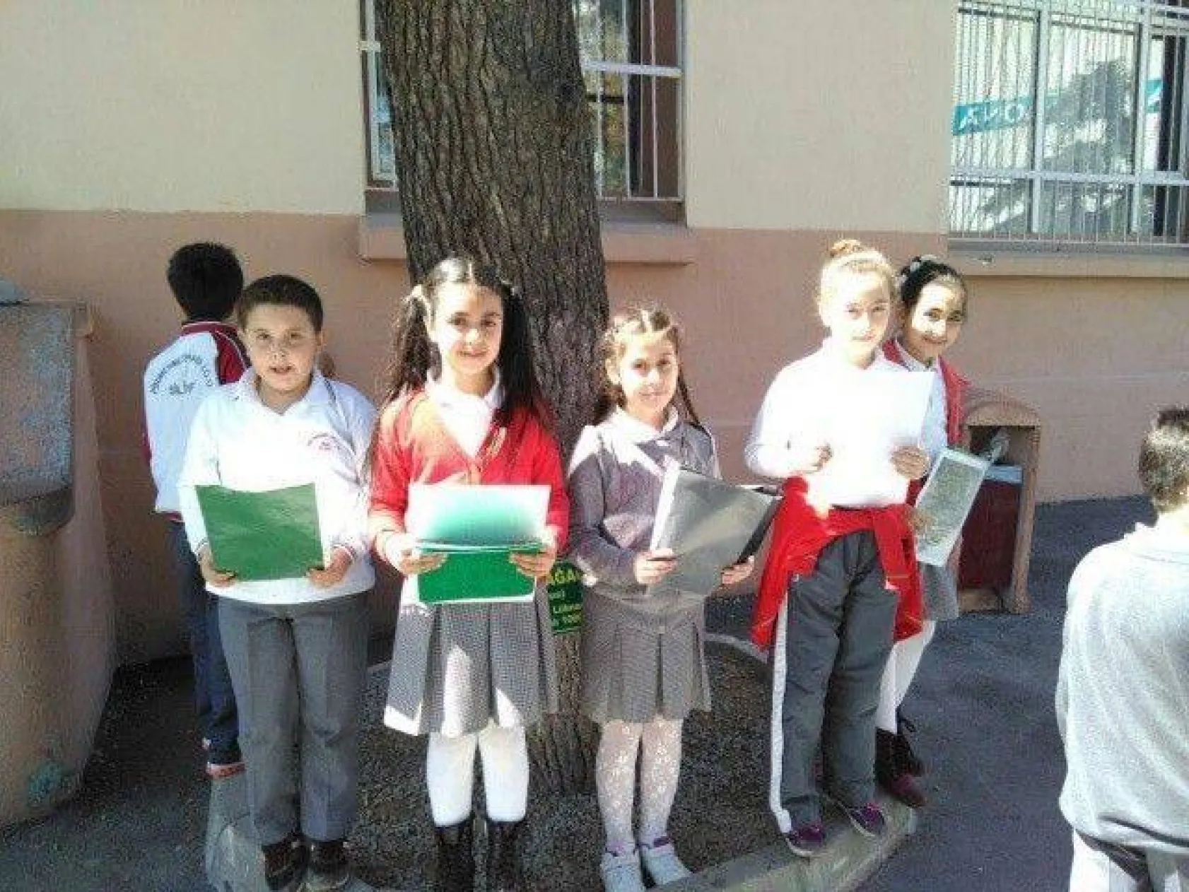 Ağaçları tanıma tanıtma etkinliği